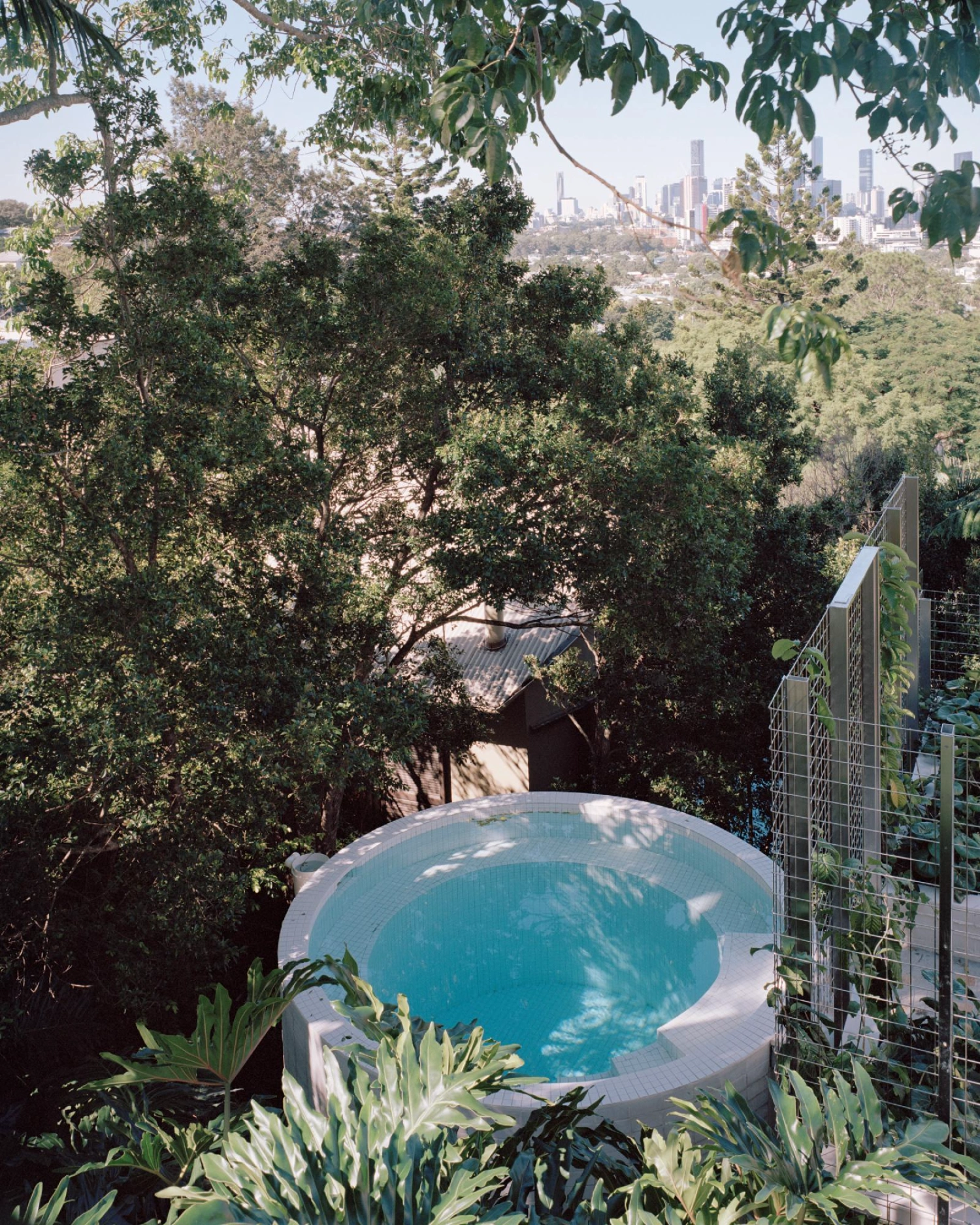 Birdwood House by Peter Besley — A circular swimming pool nestles into dense native vegetation on the hillside site, its geometric form contrasting with organic tree growth overhead.