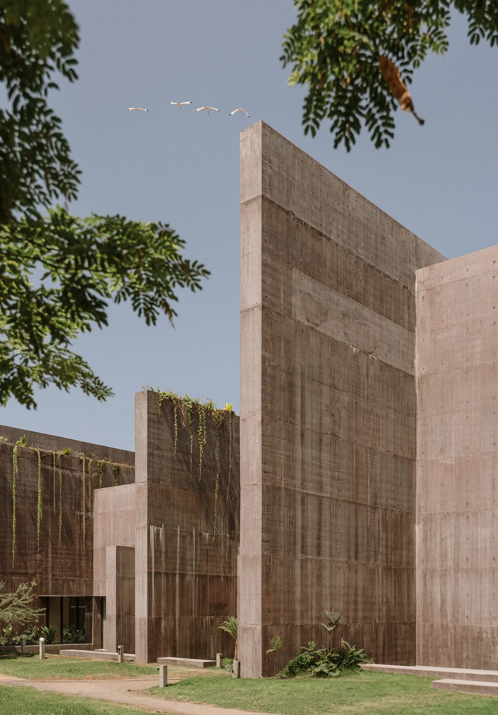 Sea of Cortez Research Center by Tatiana Bilbao — The Sea of Cortez Research Center presents a monolithic concrete composition photographed from ground level, emphasizing the volumetric mass of board-formed...
