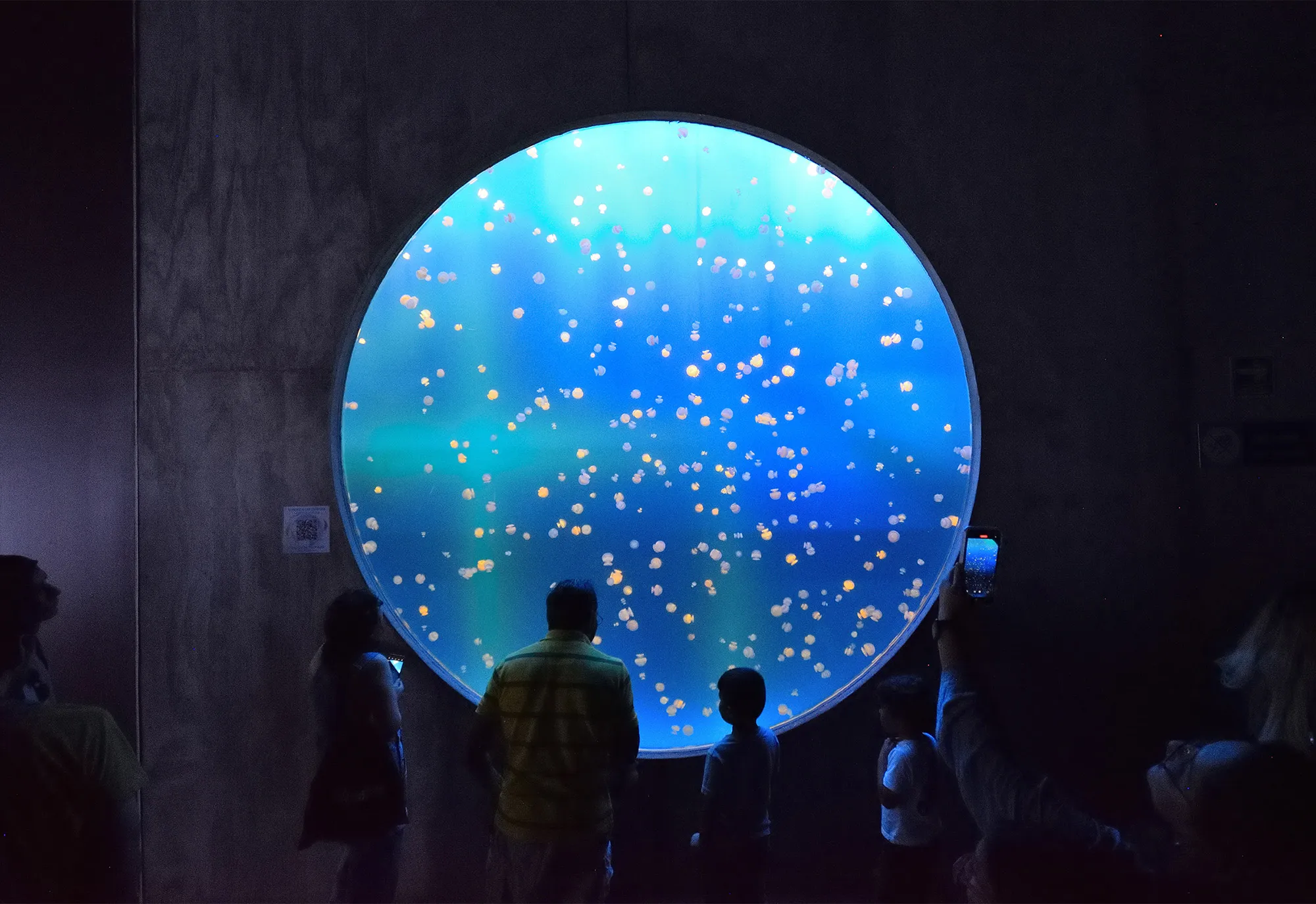 Sea of Cortez Research Center by Tatiana Bilbao — Visitors gather before a large circular aquarium display, viewing hundreds of jellyfish suspended in blue-tinted water.
