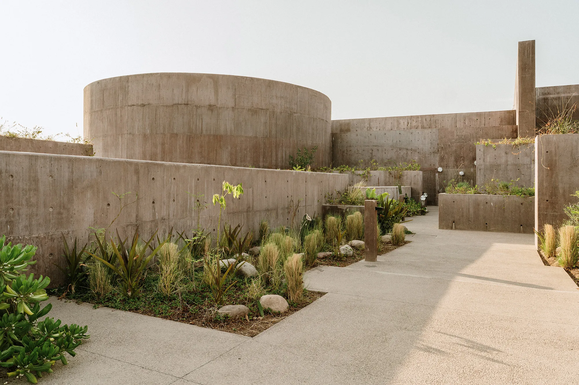 Sea of Cortez Research Center by Tatiana Bilbao — A pedestrian pathway winds through the Sea of Cortez Research Center, flanked by board-formed concrete walls in varying heights.