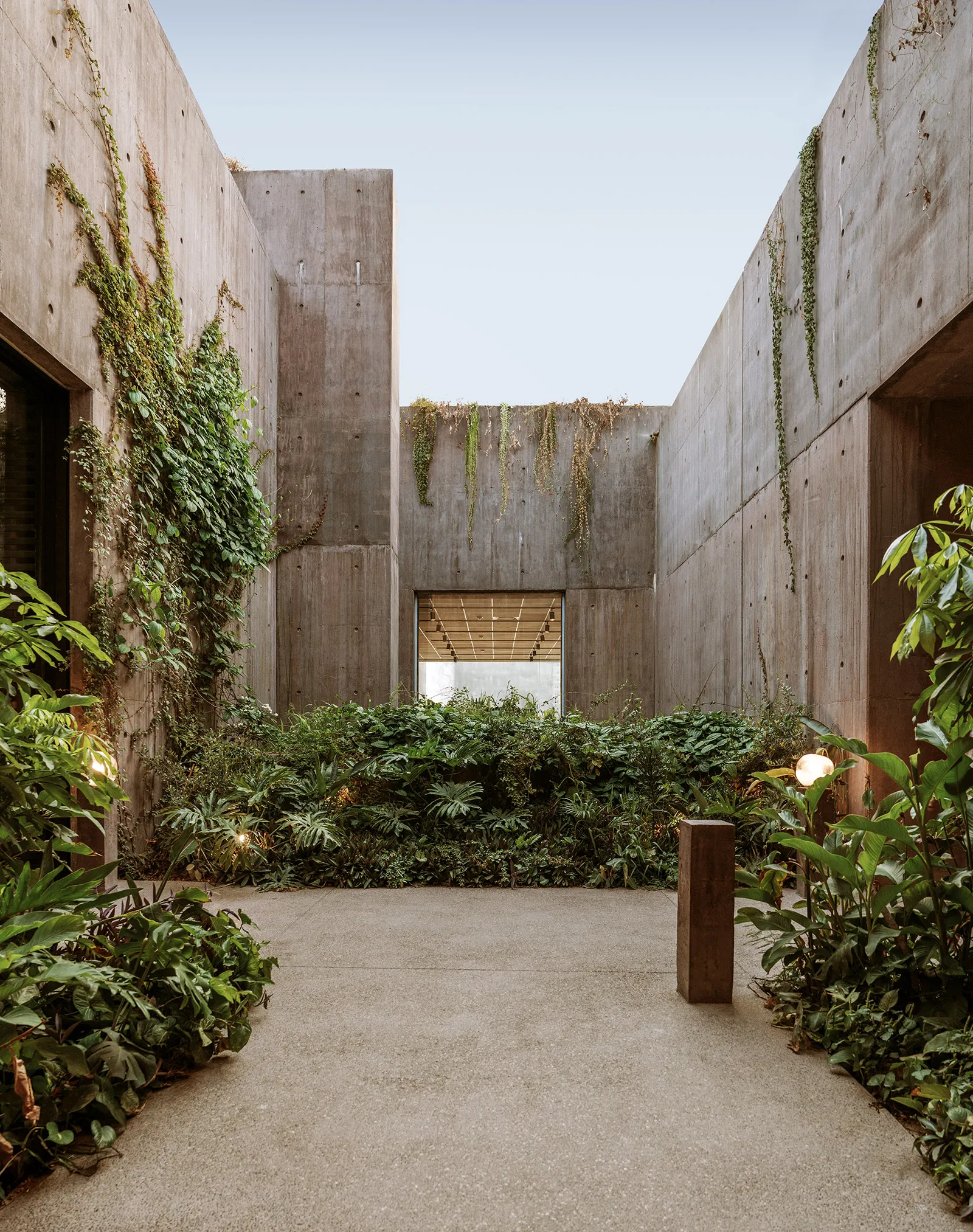 Sea of Cortez Research Center by Tatiana Bilbao — A recessed courtyard framed by monolithic concrete walls displaying board-formed texture and visible weathering.