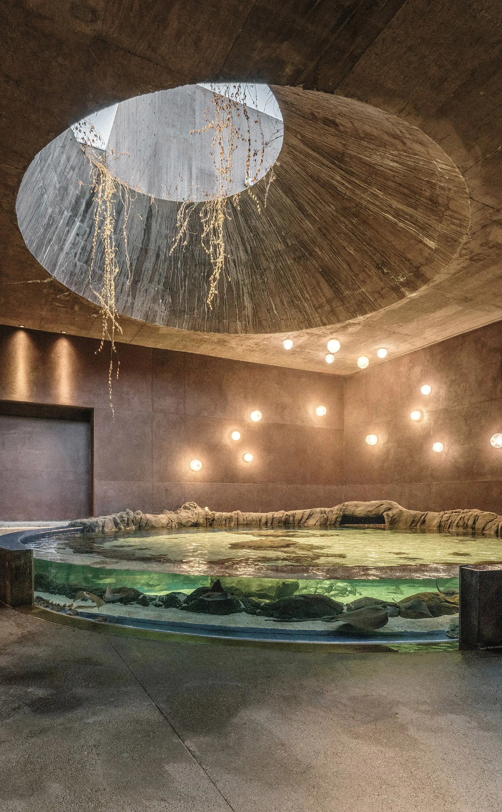 Sea of Cortez Research Center by Tatiana Bilbao — A subterranean aquarium chamber dominated by a circular oculus opening to sky, framing dried vegetation and overcast daylight.
