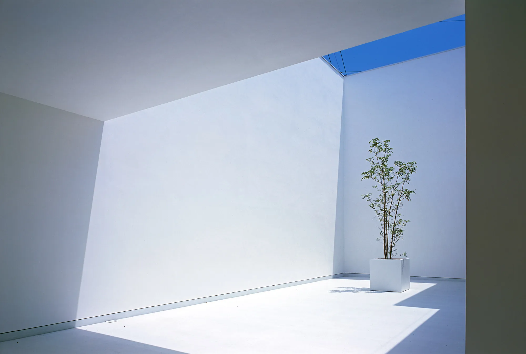 White Cave House by Takuro Yamamoto — A white rendered interior courtyard space captured in direct sunlight, revealing the geometric severity of the White Cave House design.