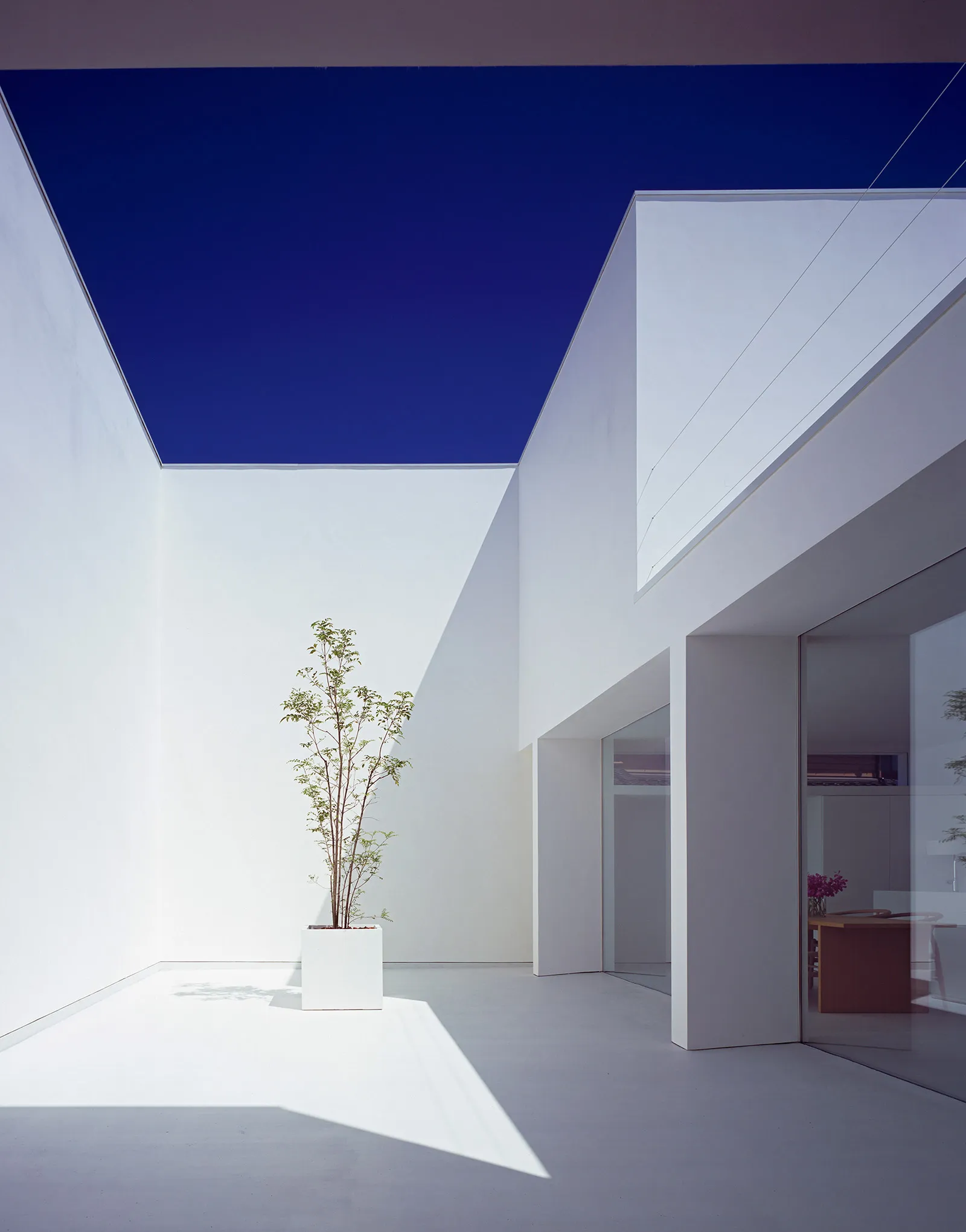 White Cave House by Takuro Yamamoto — White Cave House's primary courtyard void functions as a sculptural threshold between exterior landscape and interior domestic space.