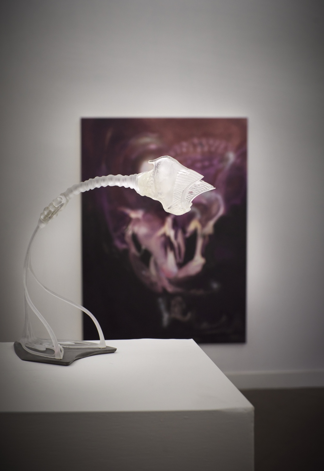 Opacity As A Healing Space by Szilvia Bolla Lorenzo Conforti at Limbo Contemporary — A white resin sculptural form with undulating, biomorphic curves is mounted on a raw concrete plinth, positioned in sharp focus against a blurred gallery...
