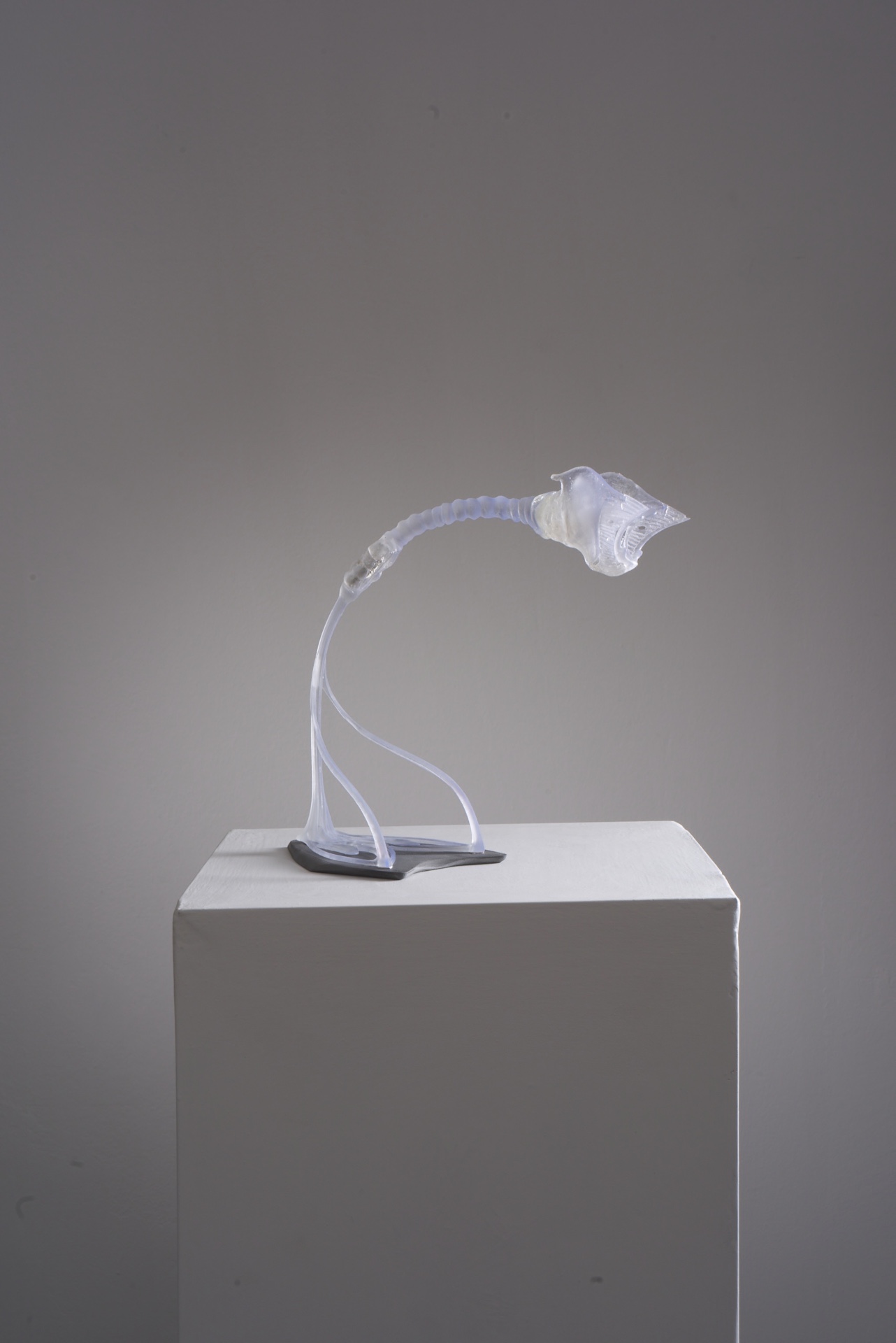 Opacity As A Healing Space by Szilvia Bolla Lorenzo Conforti at Limbo Contemporary — A translucent resin sculpture mounted on a raw concrete plinth presents an undulating, biomorphic form that curves upward in a serpentine arc.