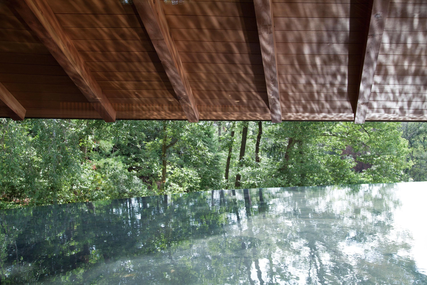 Sayama Lakeside Cemetery Community Hall by Hiroshi Nakamura & NAP — Viewed from beneath a sloped timber ceiling, the image captures the hall's relationship to the lakeside forest.