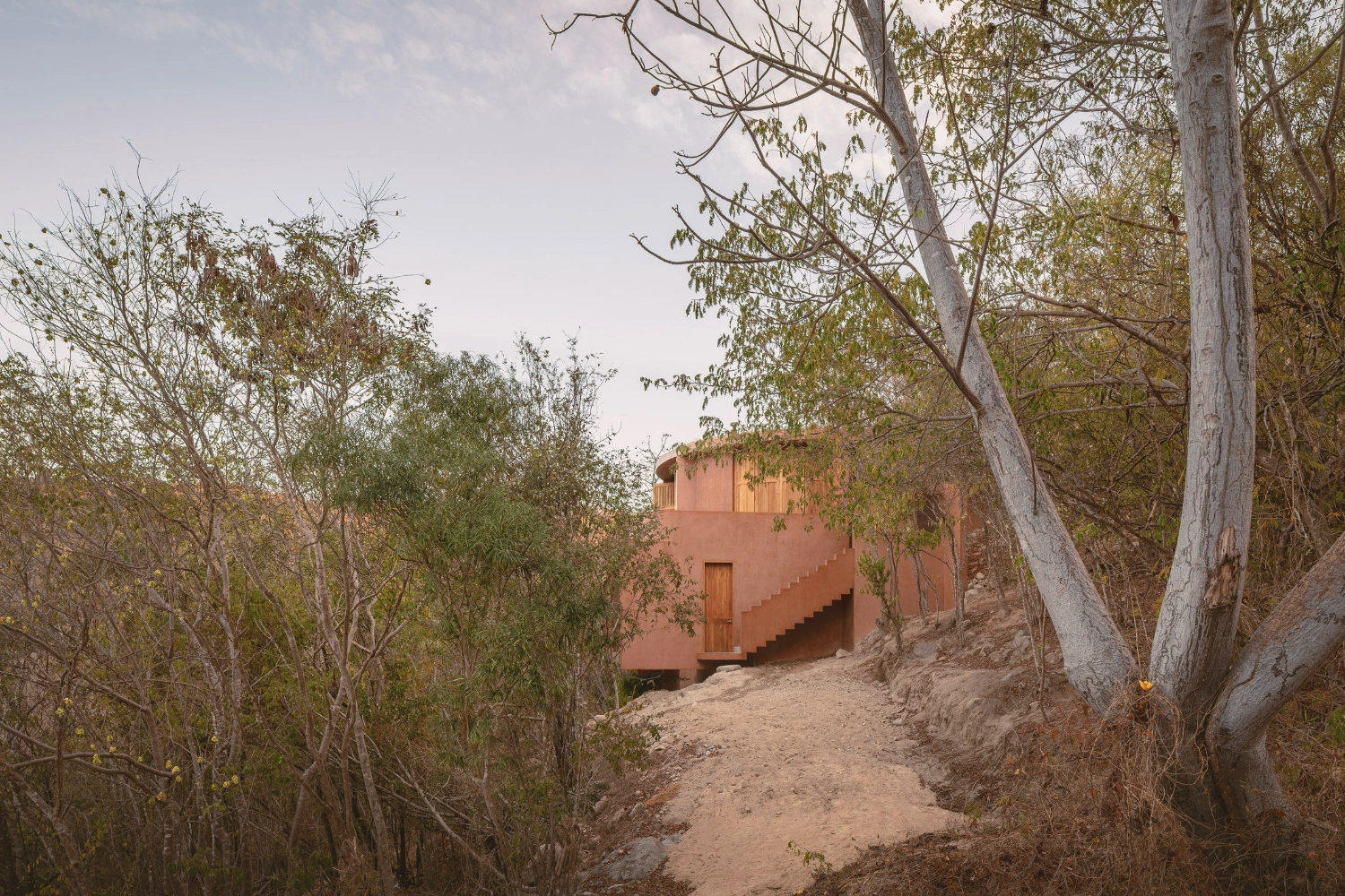 Casa Tobi by Espacio 18 Arquitectura — A terracotta-rendered cylindrical volume descends a sandy slope framed by weathered birch trees and sparse dry vegetation.