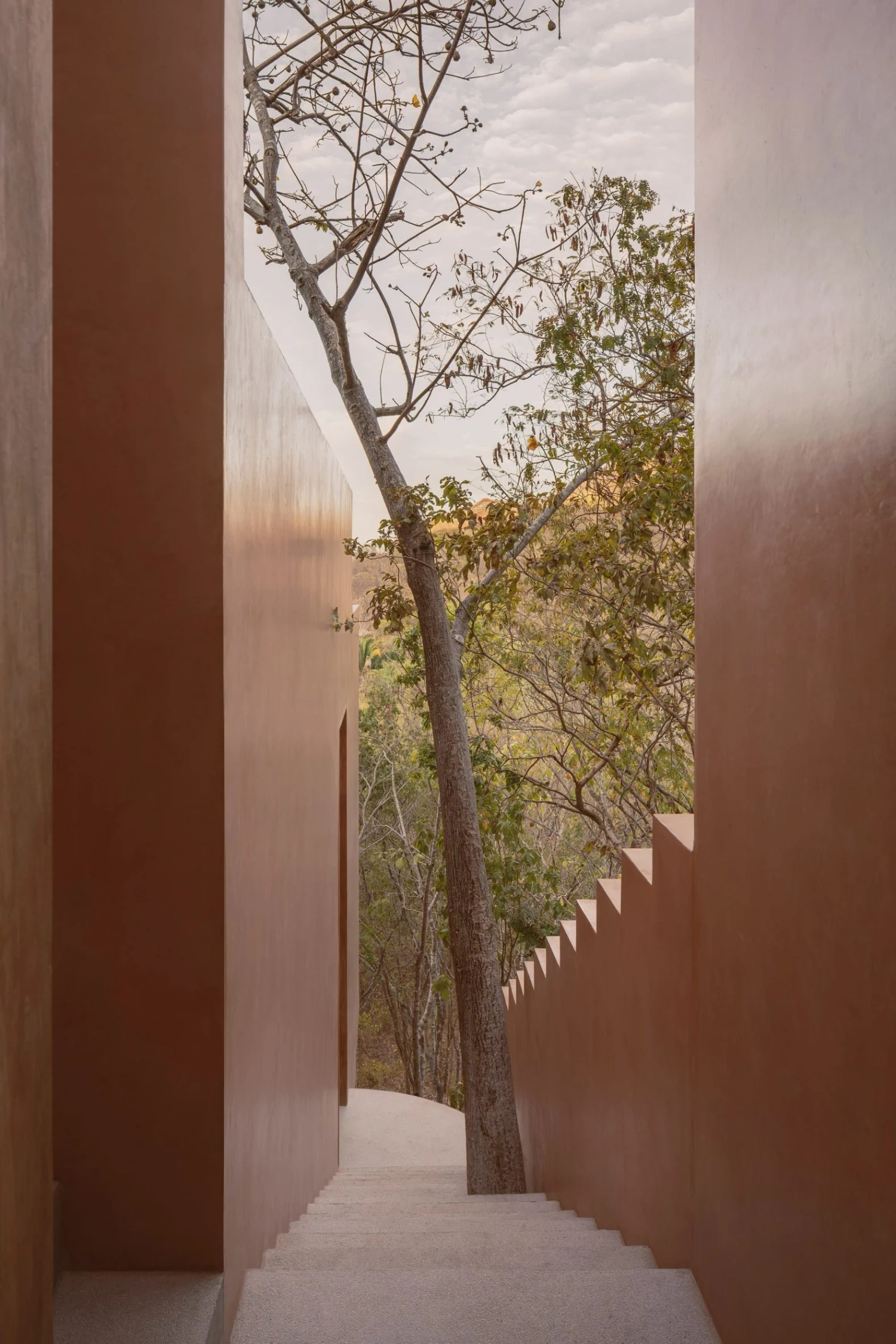 Casa Tobi by Espacio 18 Arquitectura — A narrow passage frames the landscape beyond, its terracotta render walls converging toward a single weathered birch tree positioned centrally in the...