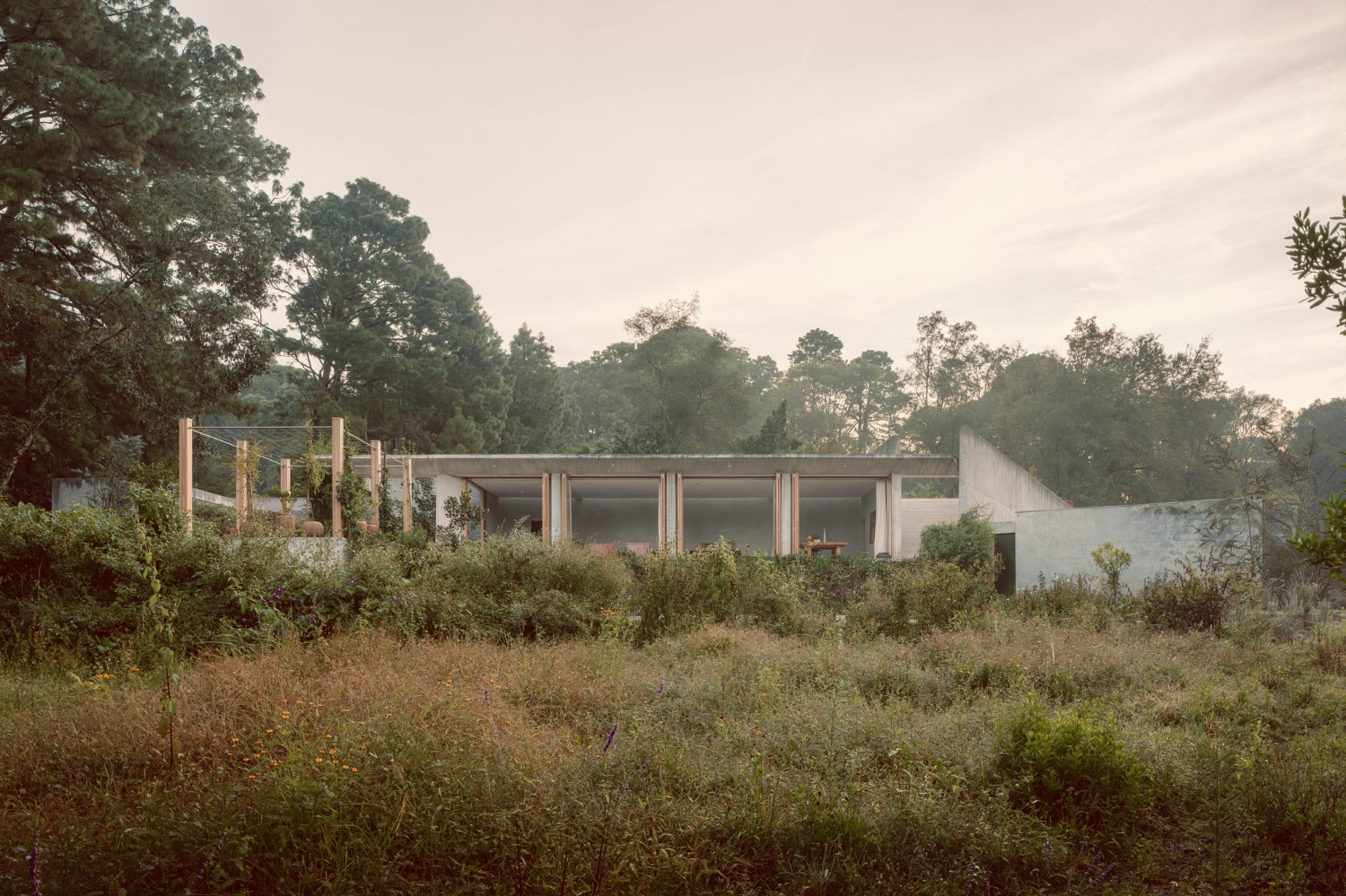 House Between Two Rivers by Taller 3000 — Viewed from the wild meadow foreground, the house emerges as a horizontal composition of rendered concrete and timber-framed apertures.