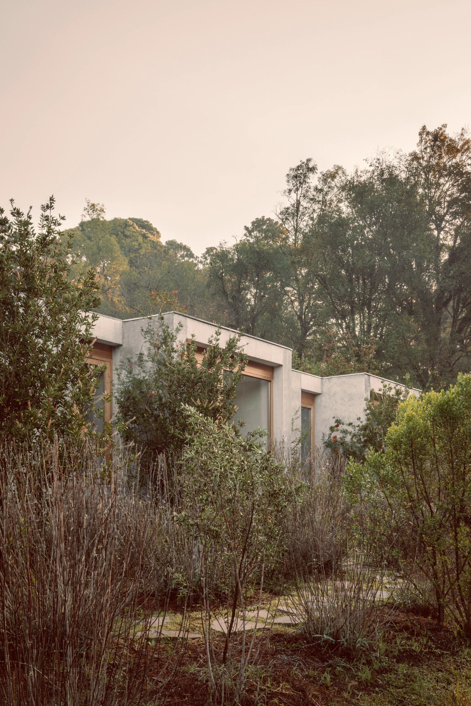 House Between Two Rivers by Taller 3000 — The rendered concrete structure emerges from dense vegetation in golden-hour light, its cream-colored facade partially obscured by native shrubs and grasses...