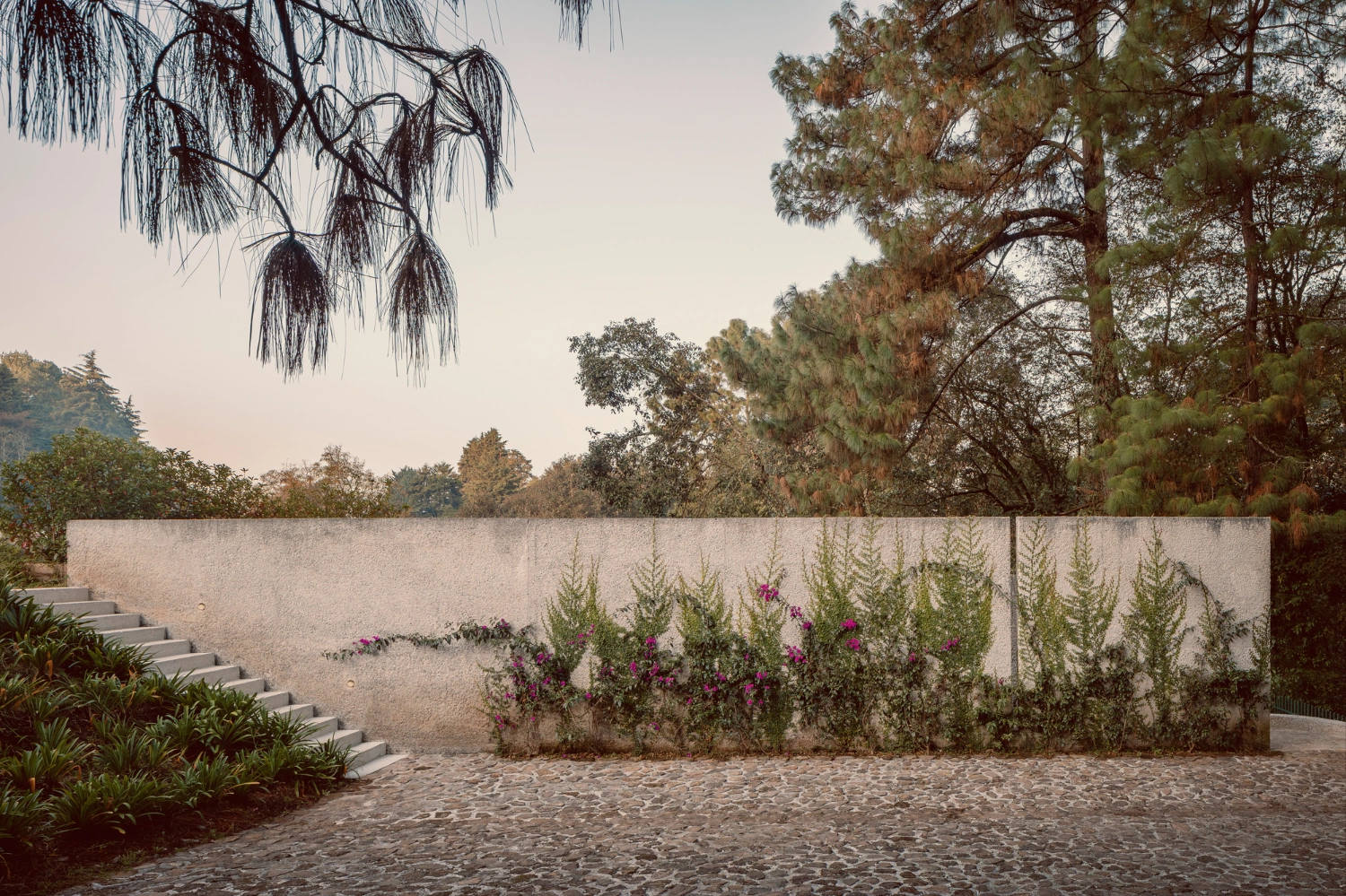 House Between Two Rivers by Taller 3000 — The rendered concrete wall dominates the frame, its surface weathered with visible water staining and organic discoloration that documents exposure to the...