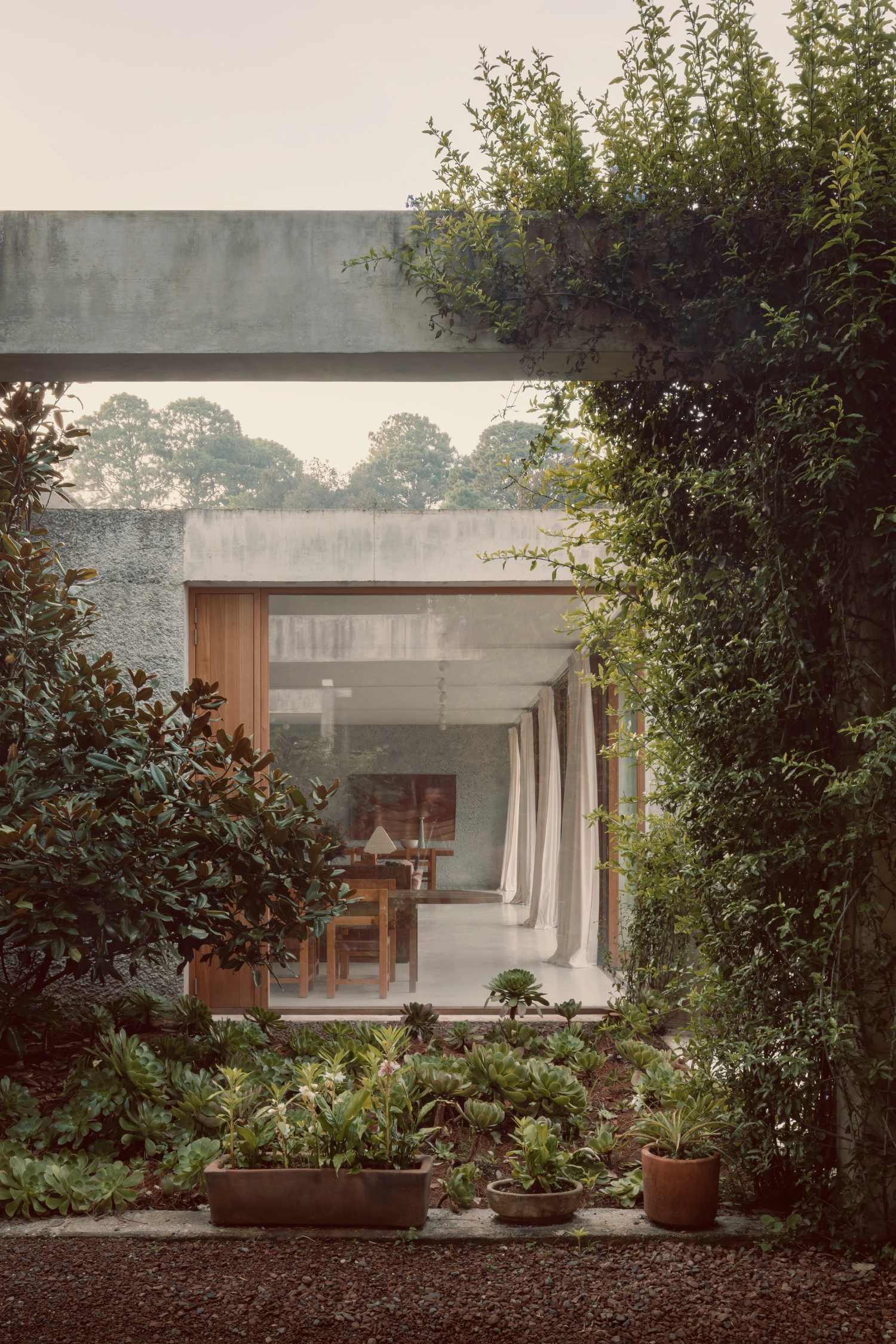 House Between Two Rivers by Taller 3000 — Framed through layered vegetation, the house's threshold emerges as a studied composition of material and void.