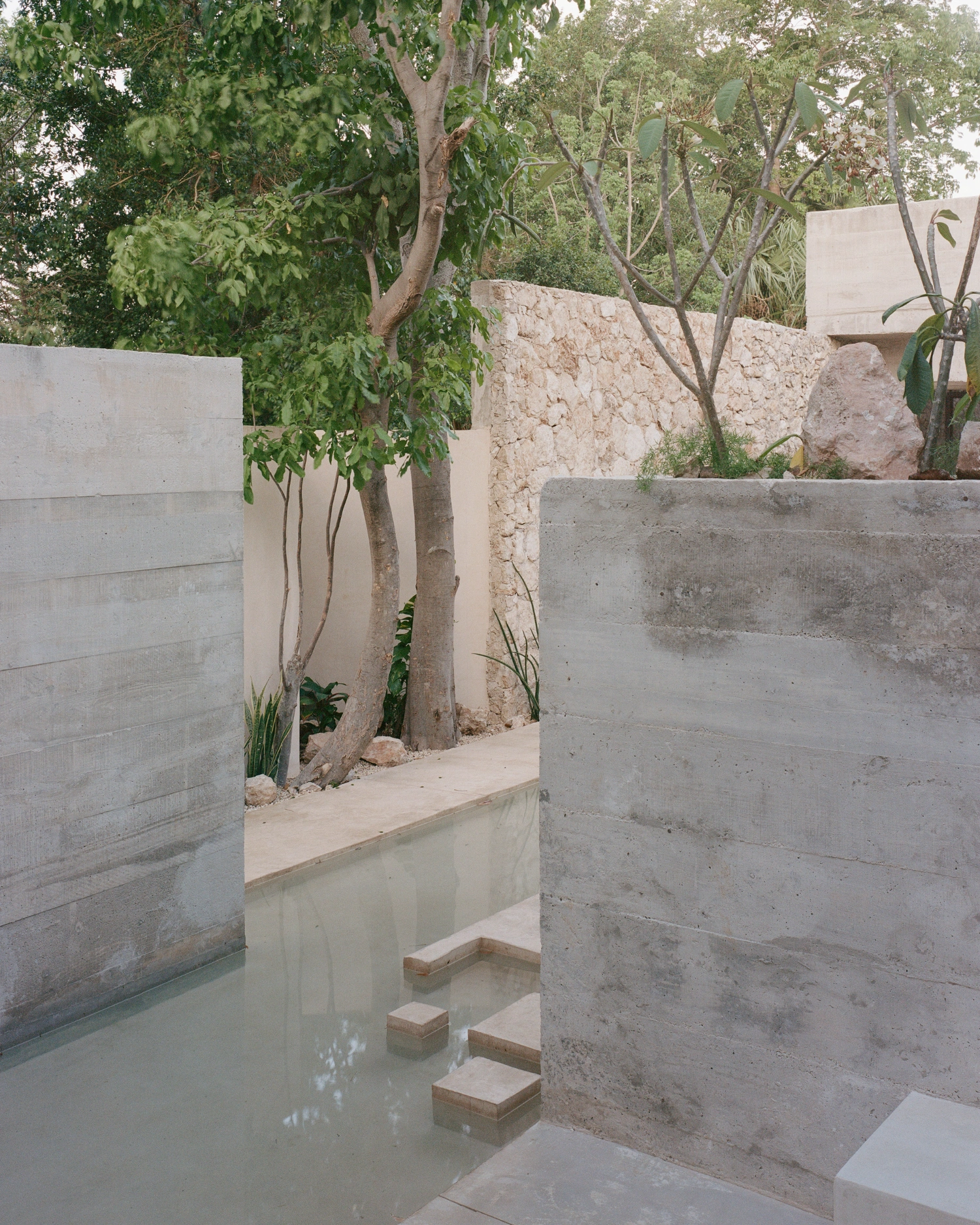 House in Los Cocos by Ludwig Godefroy Architecture — Concrete stepped access descends into a rectangular water basin that bisects the courtyard, with pale stone paving surrounding a planted island.
