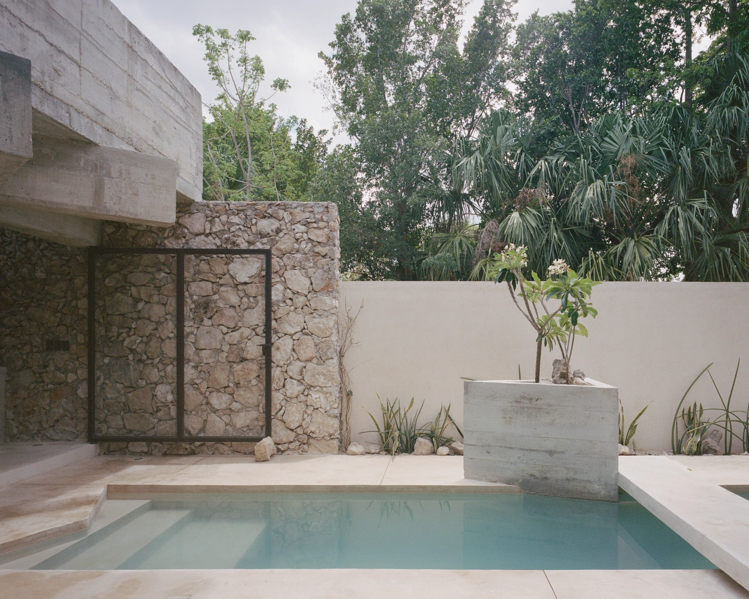 House in Los Cocos by Ludwig Godefroy Architecture — A rectangular water basin anchors the narrow courtyard, its turquoise surface reflecting the overcast sky.