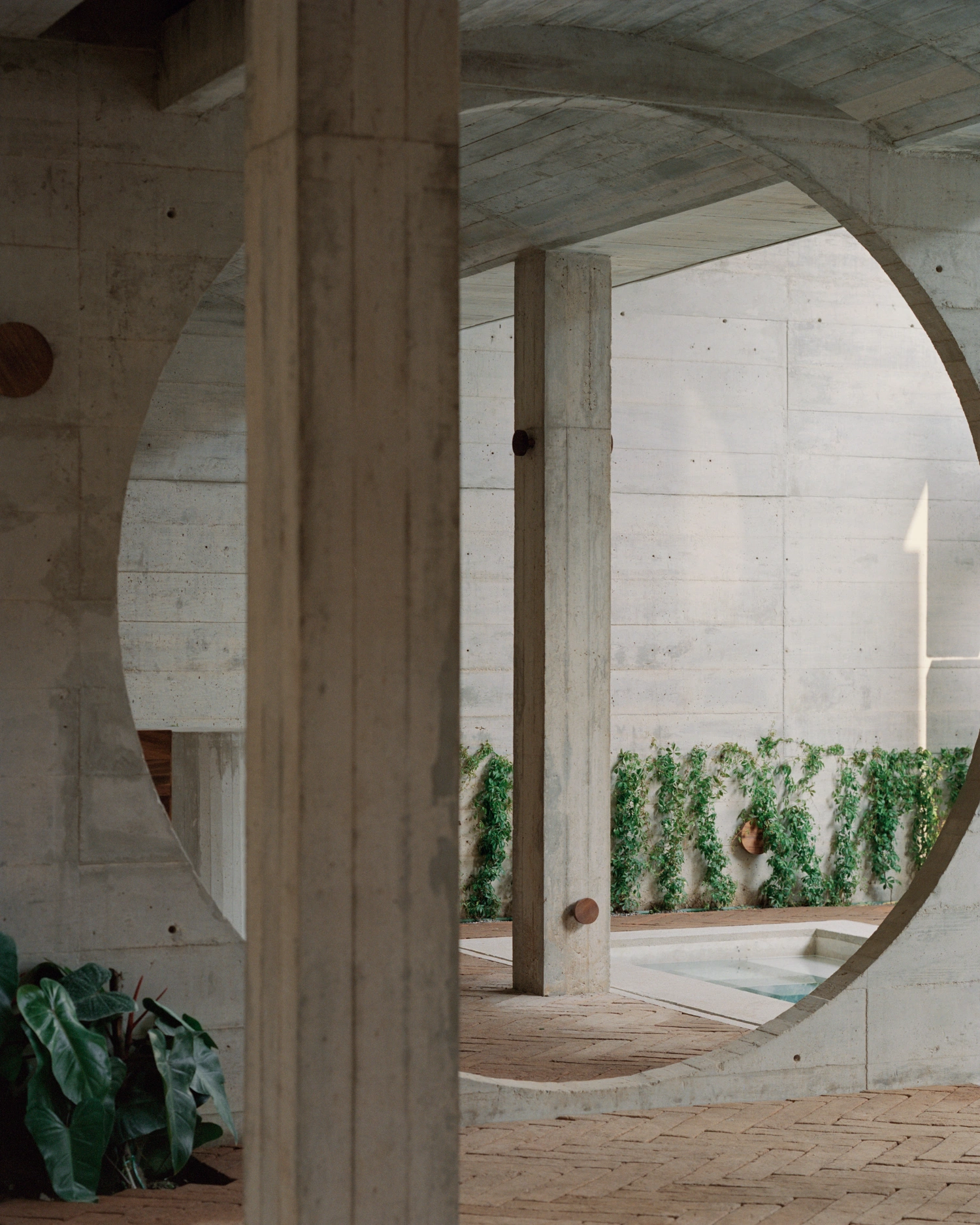 House TO by Ludwig Godefroy Architecture — Layered concrete columns frame a succession of circular voids, creating a perspectival tunnel through the building's interior.