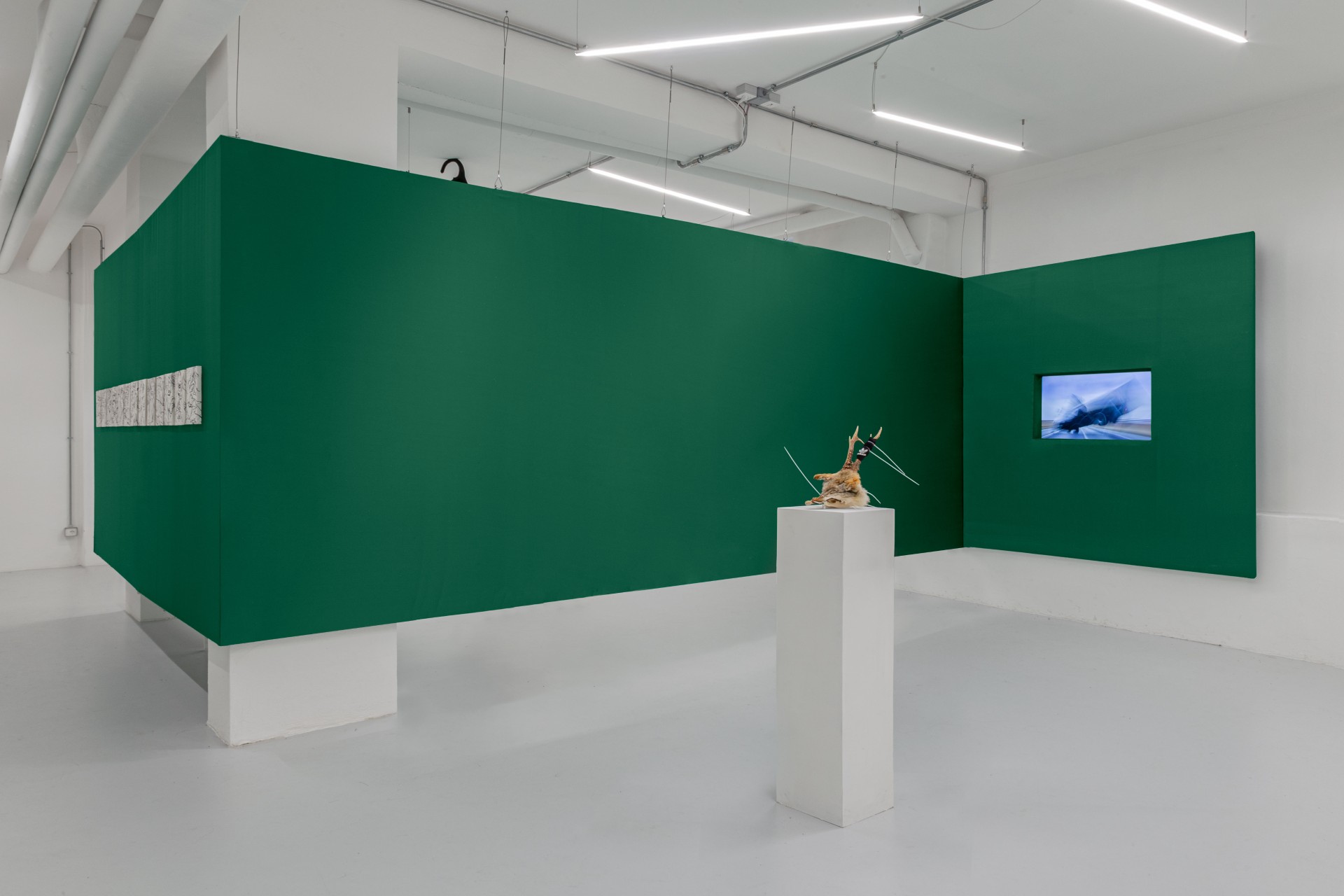 Till the cows come home at banquet — A gallery interior dominated by angled forest-green wall planes that create dynamic spatial divisions and apertures.