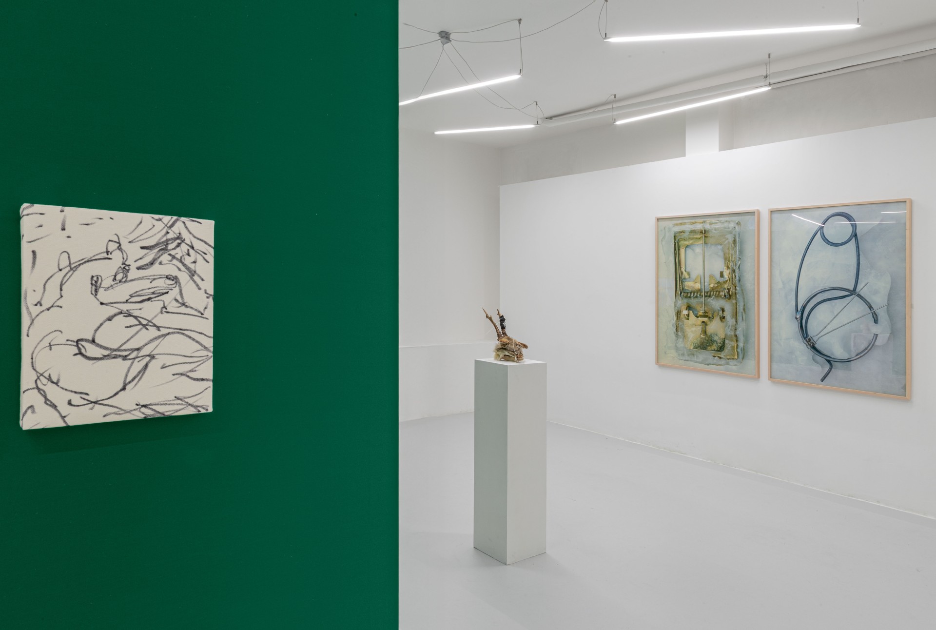 Till the cows come home at banquet — A gallery interior divided by angled green wall planes that create dynamic spatial apertures.