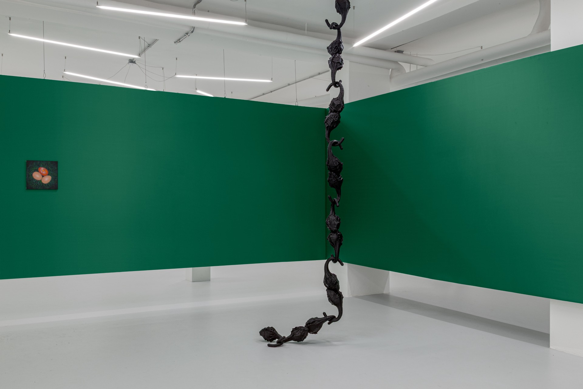 Till the cows come home at banquet — A gallery interior with boldly contrasting planes: kelly-green render bisects the walls horizontally, leaving white concrete above and below.