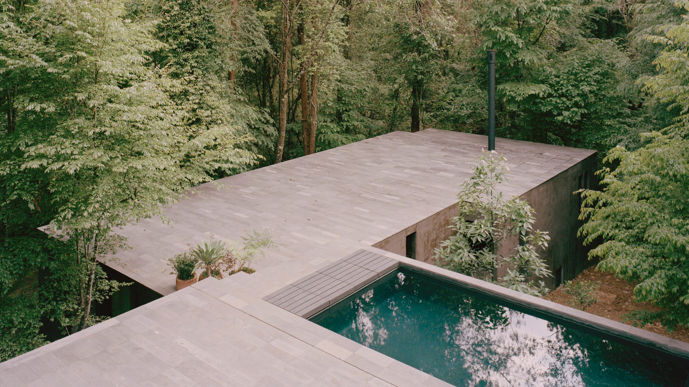 Copas House by PPAA — The residence extends into the forest canopy via a cantilevered concrete platform that frames an infinity-edge swimming pool with dark teal water.