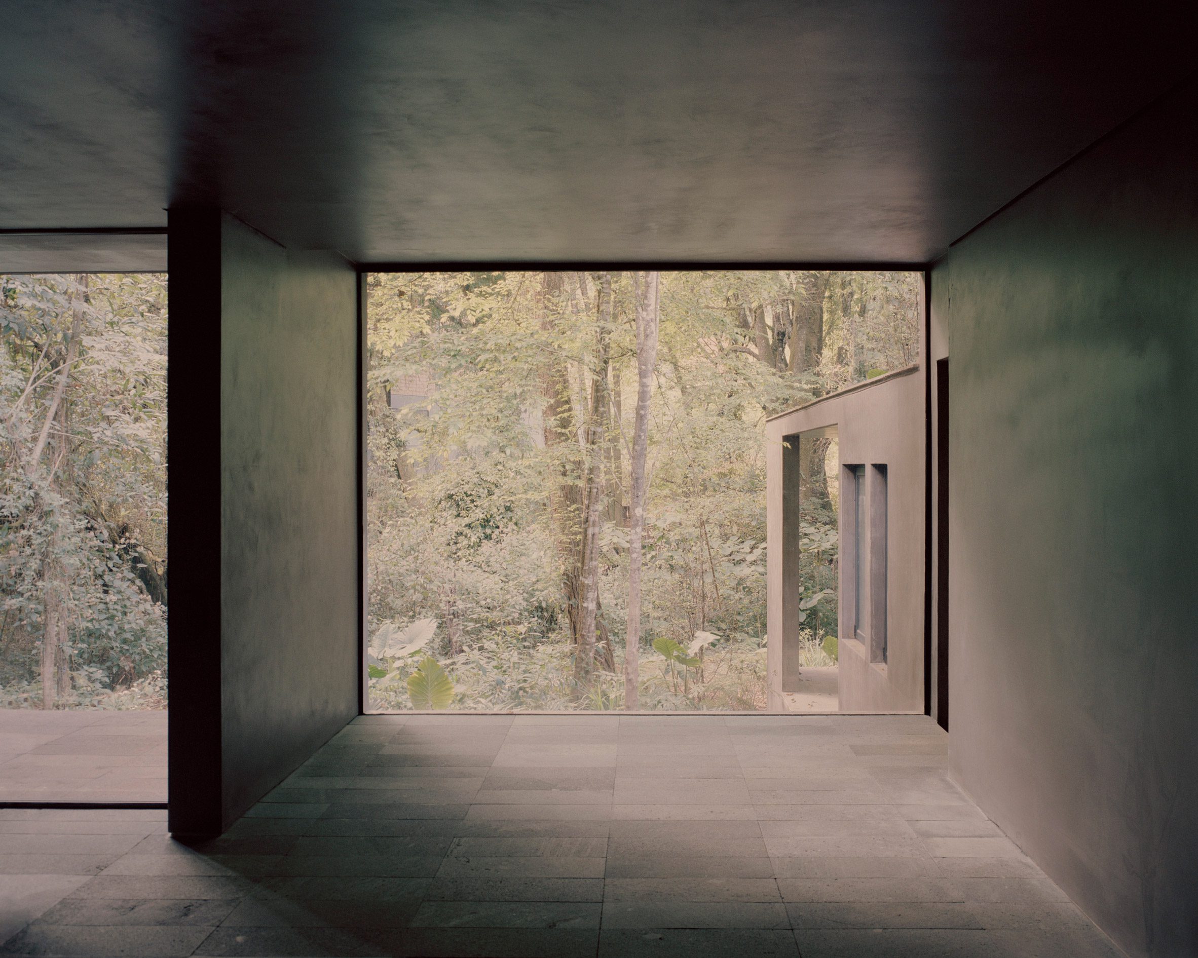 Copas House by PPAA — A double-height interior passage frames a dense forest through expansive glazing, with a monolithic boulder positioned on the polished concrete floor...