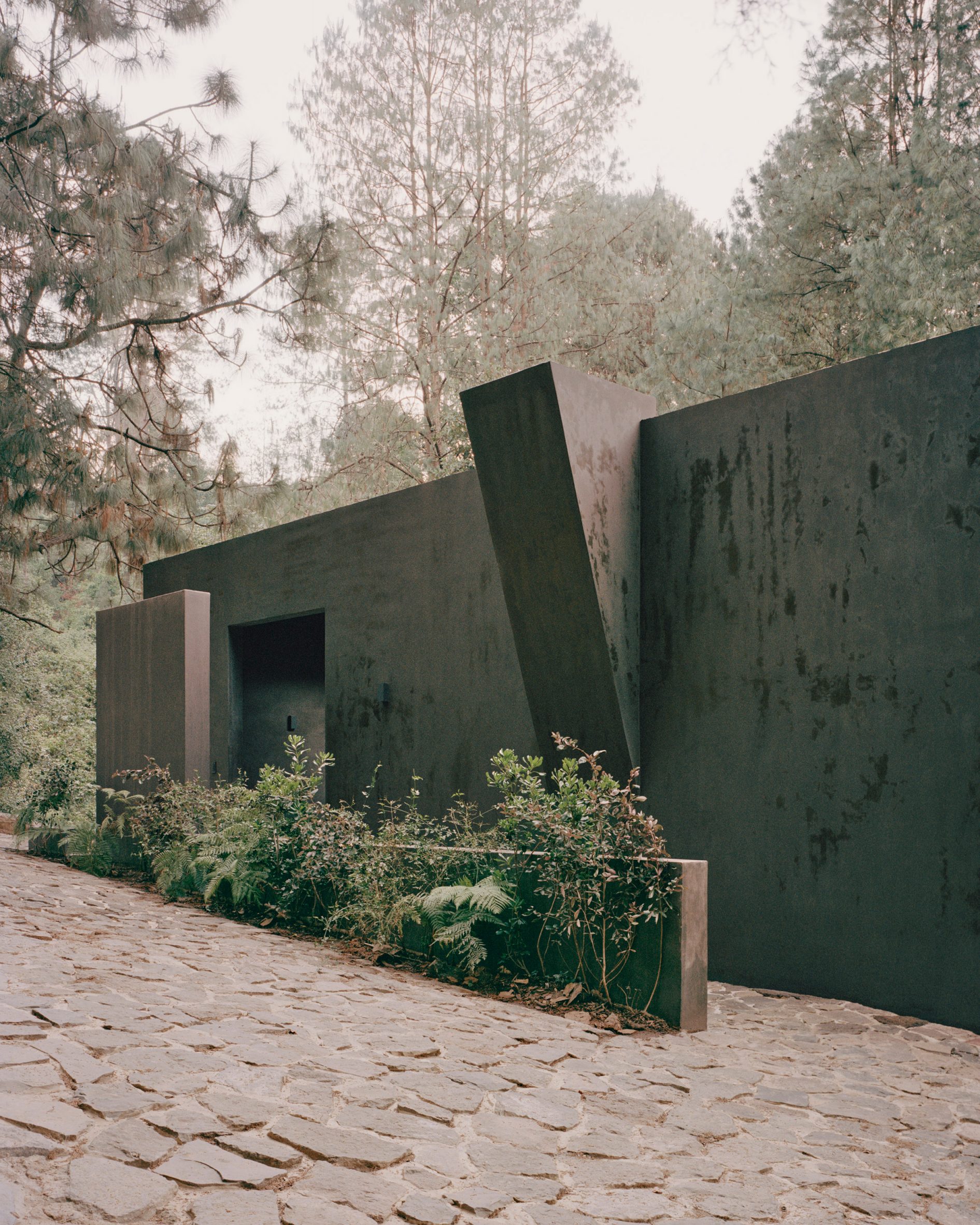 Copas House by PPAA — A monolithic concrete structure emerges from the forest floor, its angled walls and vertical aperture creating a sculptural intervention within the dense...