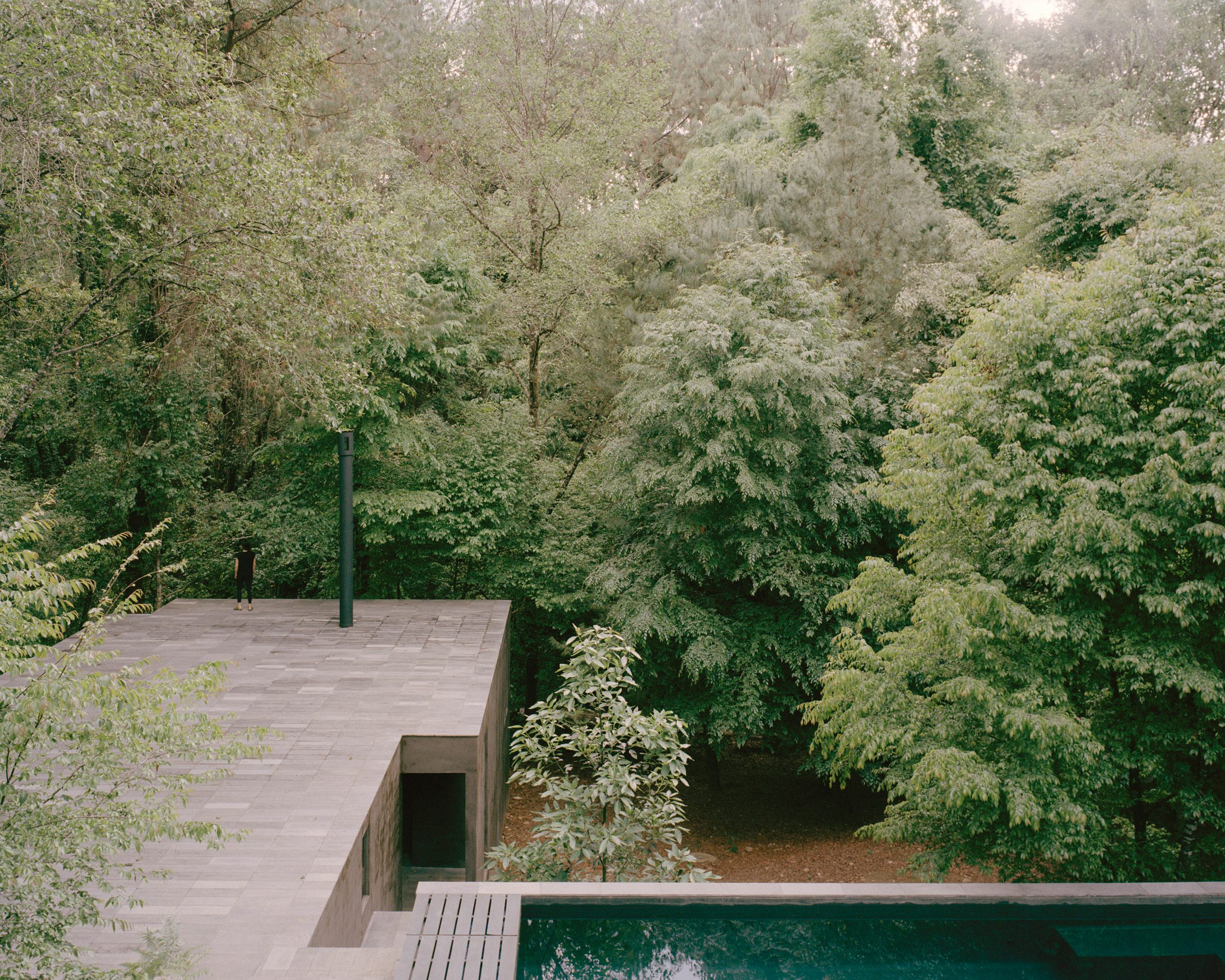 Copas House by PPAA — A suspended wooden deck projects into dense forest canopy, anchored by a single dark steel support post.