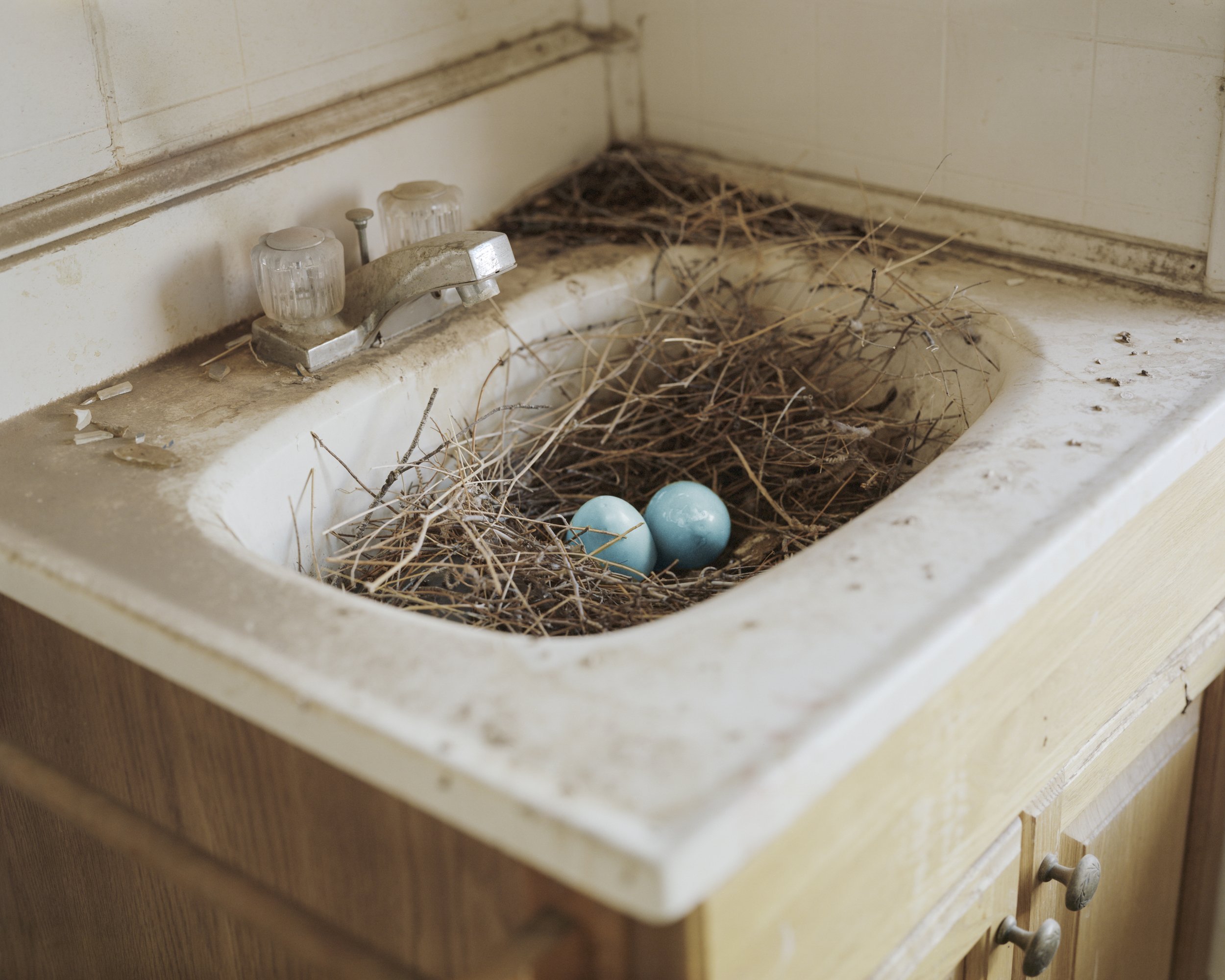 A Poor Sort of Memory by Tracy L Chandler — A porcelain sink repurposed as a nest cavity, filled with dried straw and grass, cradles two pale blue eggs.