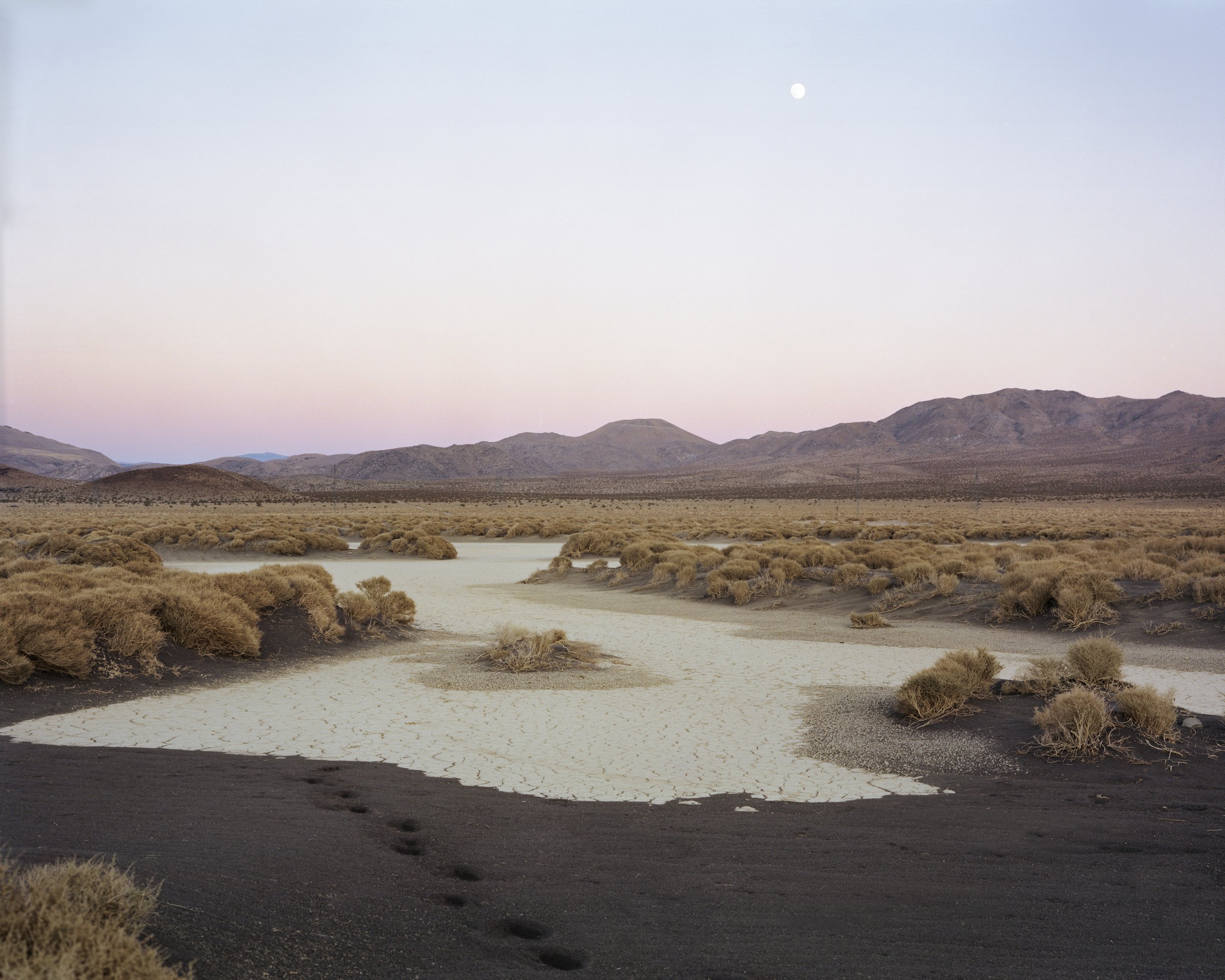 A Poor Sort of Memory by Tracy L Chandler — A salt-laden flat stretches across the foreground, its pale mineralized surface punctuated by scattered tufts of golden desert scrub.