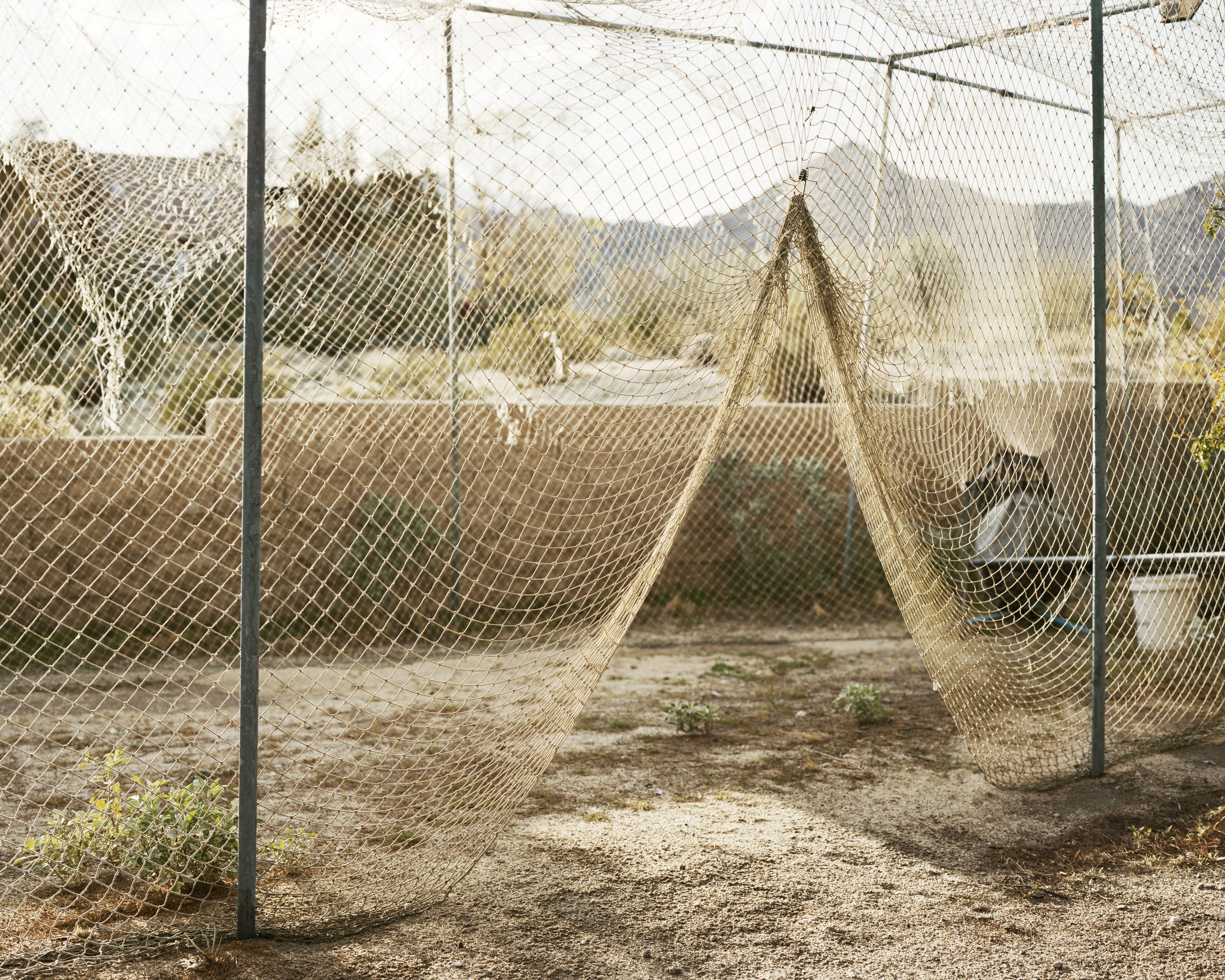 A Poor Sort of Memory by Tracy L Chandler — Fishing nets hang suspended within a chain-link enclosure, their weathered cordage forming geometric triangular shapes against the desert landscape.