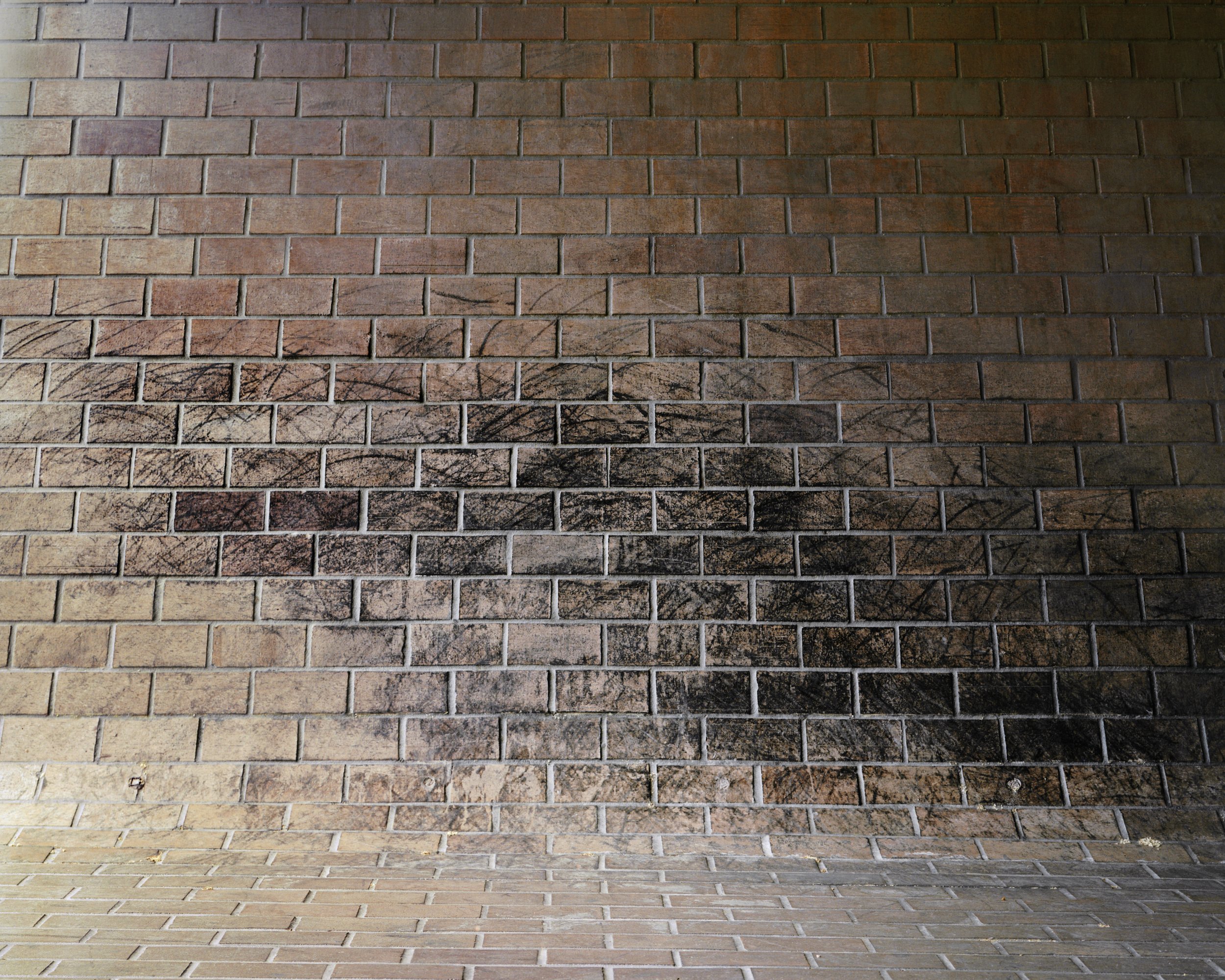A Poor Sort of Memory by Tracy L Chandler — A brick facade photographed in close-up detail reveals a gradient of weathering and discoloration across horizontal rows.