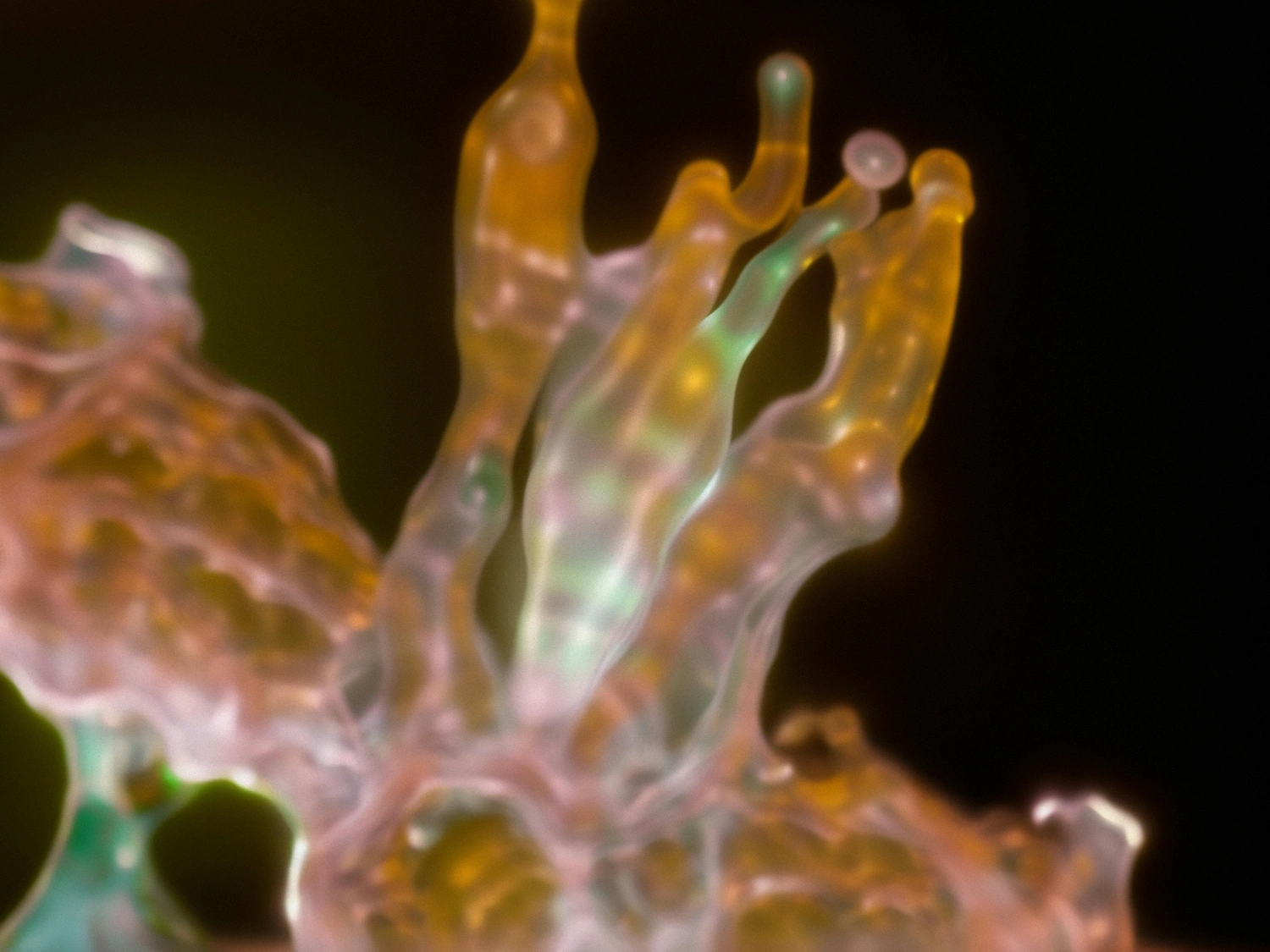 The Book of Flowers by Agnieszka Polska at Union Pacific — A close-up digital rendering of a translucent flower structure with pale blue-green gradations and amber-toned tubular petals extending upward against a...
