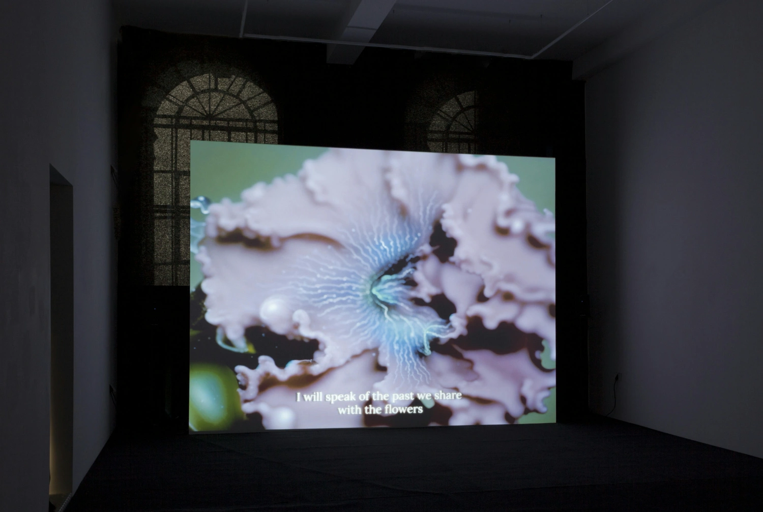 The Book of Flowers by Agnieszka Polska at Union Pacific — A video projection displays a close-up of a pale blue flower with intricately layered, symmetrical petals rendered in high contrast against a soft green...