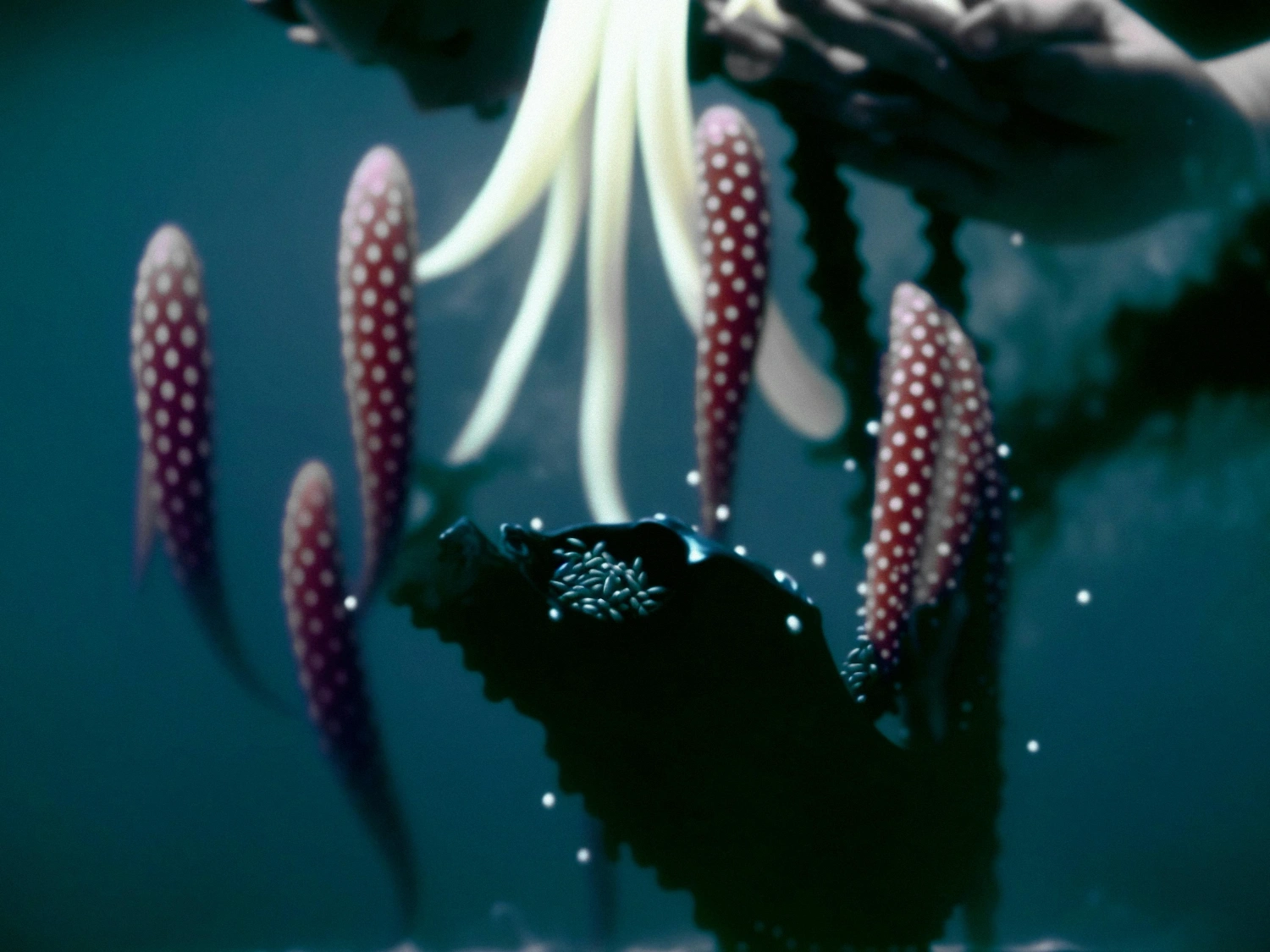 The Book of Flowers by Agnieszka Polska at Union Pacific — A digitally rendered flower dominates the composition, its pale stamens studded with crimson spherical formations arranged in rigid, symmetrical columns.