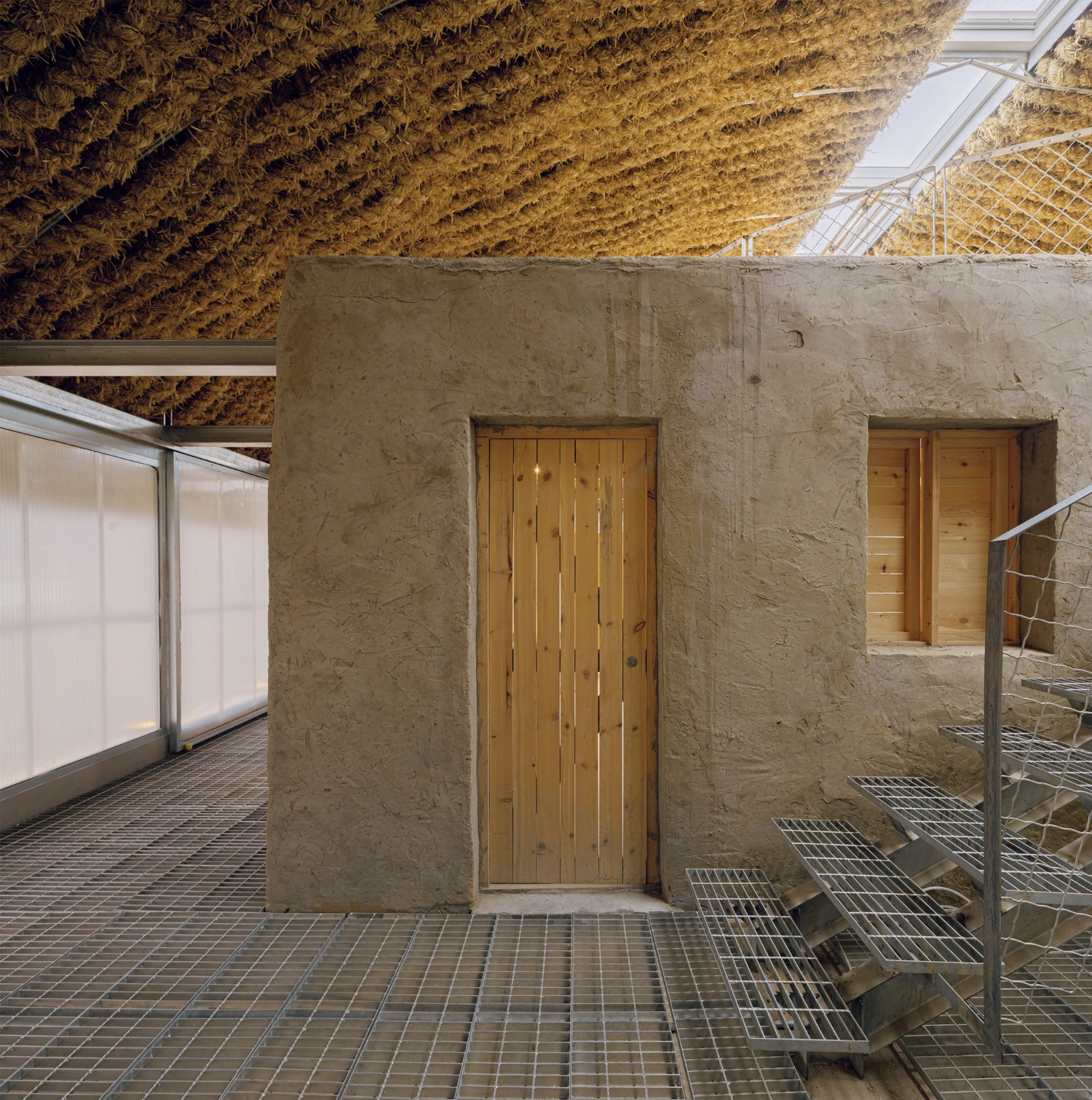 Home in the Badain Jaran Desert by School of Architecture and Urban Planning NJU — A concrete-rendered interior wall anchors the central space, its rough-finished surface punctuated by two timber doors with vertical board detailing.