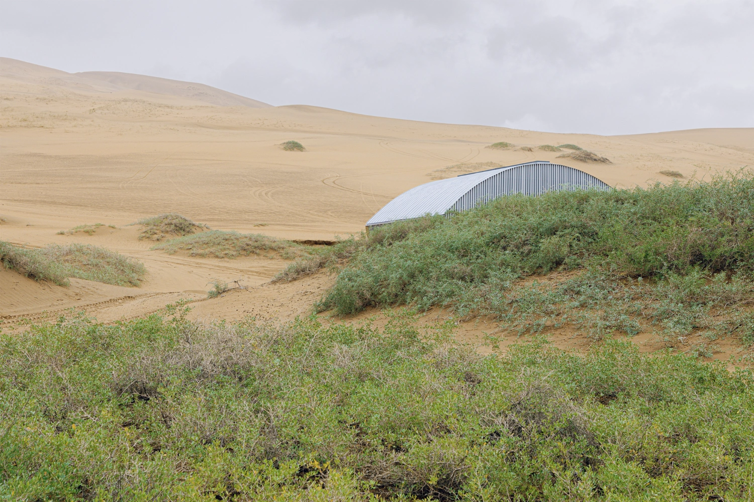 Home in the Badain Jaran Desert by School of Architecture and Urban Planning NJU — The corrugated metal structure emerges from dense vegetation in the Badain Jaran Desert landscape, its white-painted curved roof contrasting sharply against...