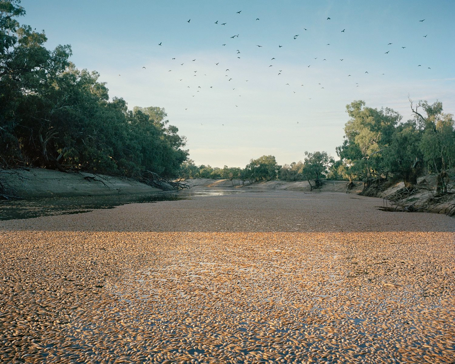 Big Sky by Adam Ferguson — A riverbed stretches across the foreground, its exposed sandy floor patterned with water-worn ripples and scattered pebbles.