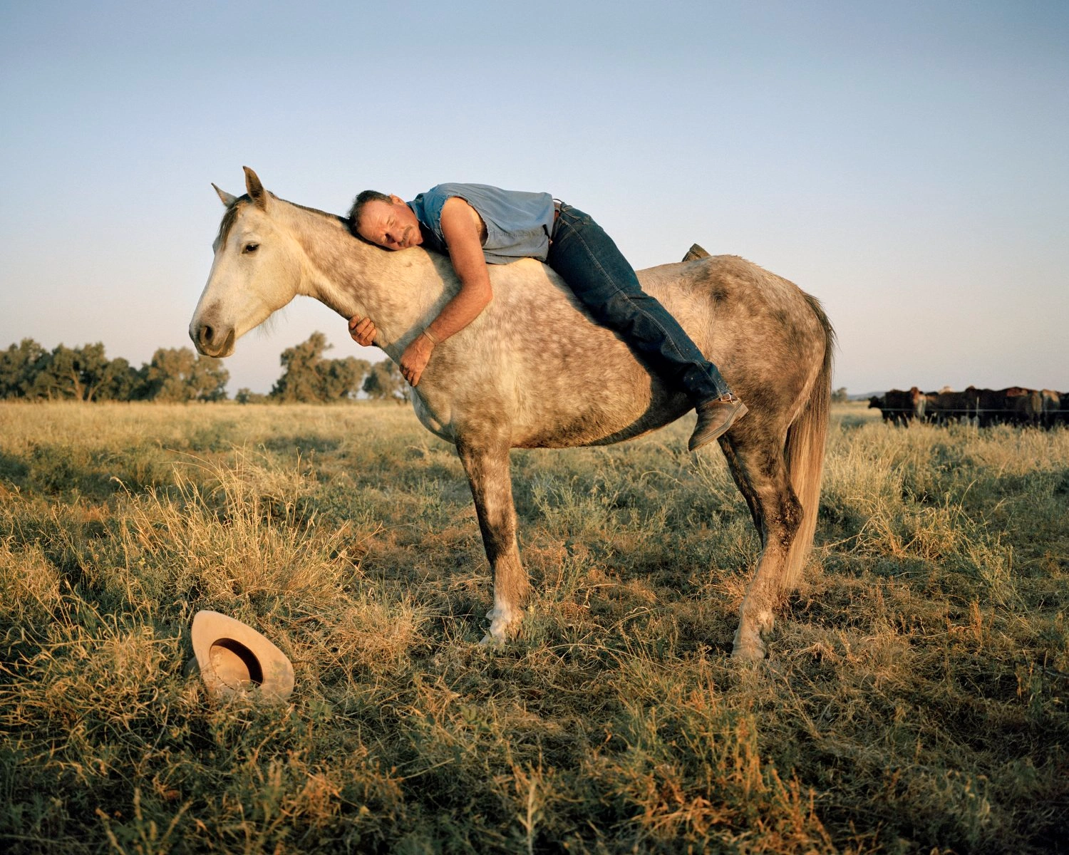 Big Sky by Adam Ferguson — A figure in a blue-grey t-shirt and dark jeans lies horizontally across a cream-coloured horse in an arid Australian landscape.