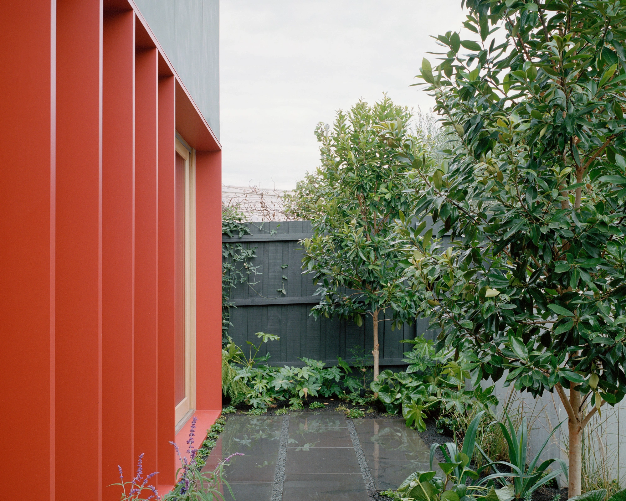 House K by Kart Projects — A narrow courtyard passage connects two structures through layered materiality and controlled vegetation.