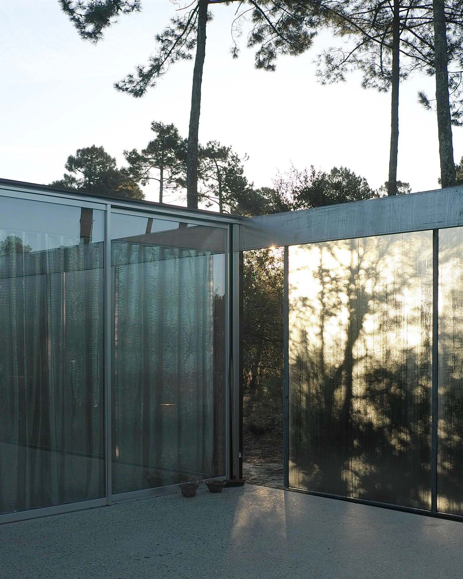 M37 House by BAST + littoral — The courtyard elevation reveals the M37 House's inward-oriented design strategy through frosted glass panels that obscure interior activity while...