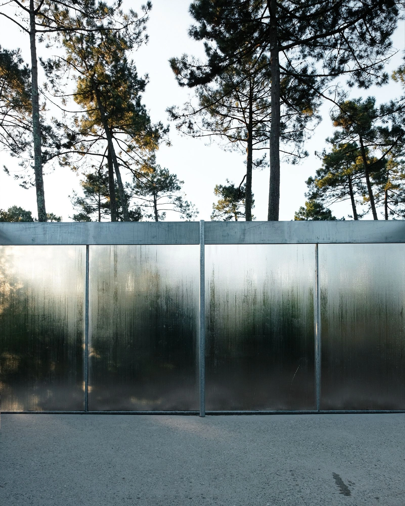 M37 House by BAST + littoral — A translucent polycarbonate or frosted glass enclosure frames the courtyard threshold of M37 House, obscuring interior activity while maintaining visual...