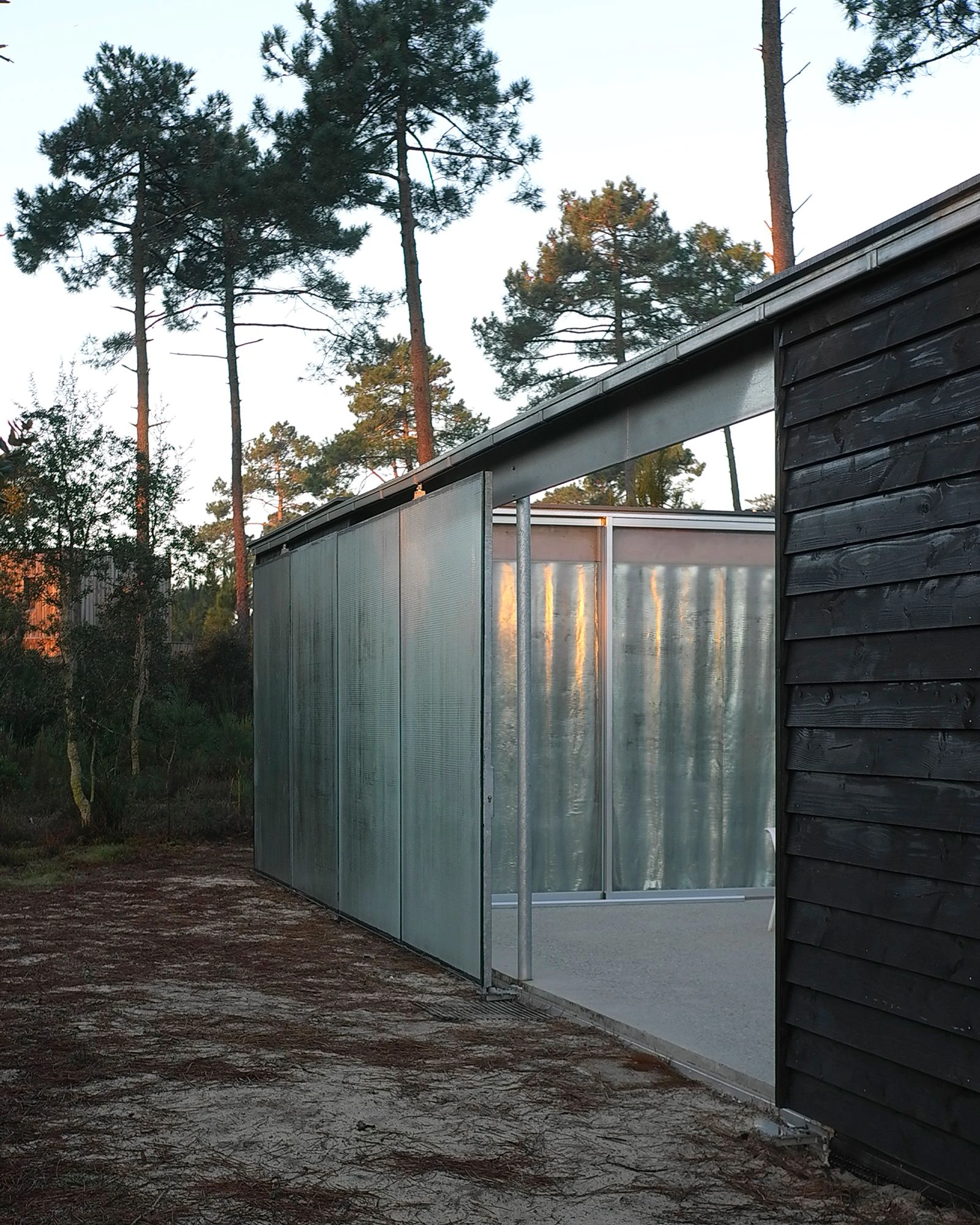 M37 House by BAST + littoral — The courtyard elevation of M37 House presents a glazed enclosure with translucent polycarbonate or frosted glass panels framed in anodized aluminum,...