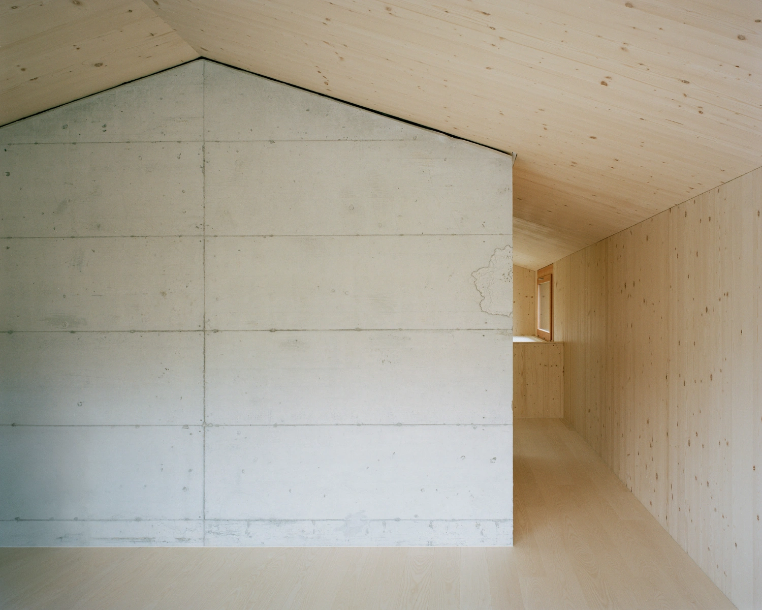 The Wandering House by Lionel Ballmer — Interior passage of timber-lined pine plywood walls and ceiling, flooded with natural light from an aperture on the right.