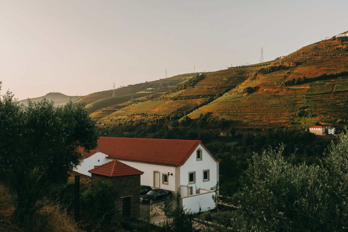 Torel Quinta da Vacaria in Douro Valley by Studio Astolfi and architect Luís Miguel Oliveira — A whitewashed residential structure with terracotta tile roof sits nestled within terraced hillsides planted with olive trees.