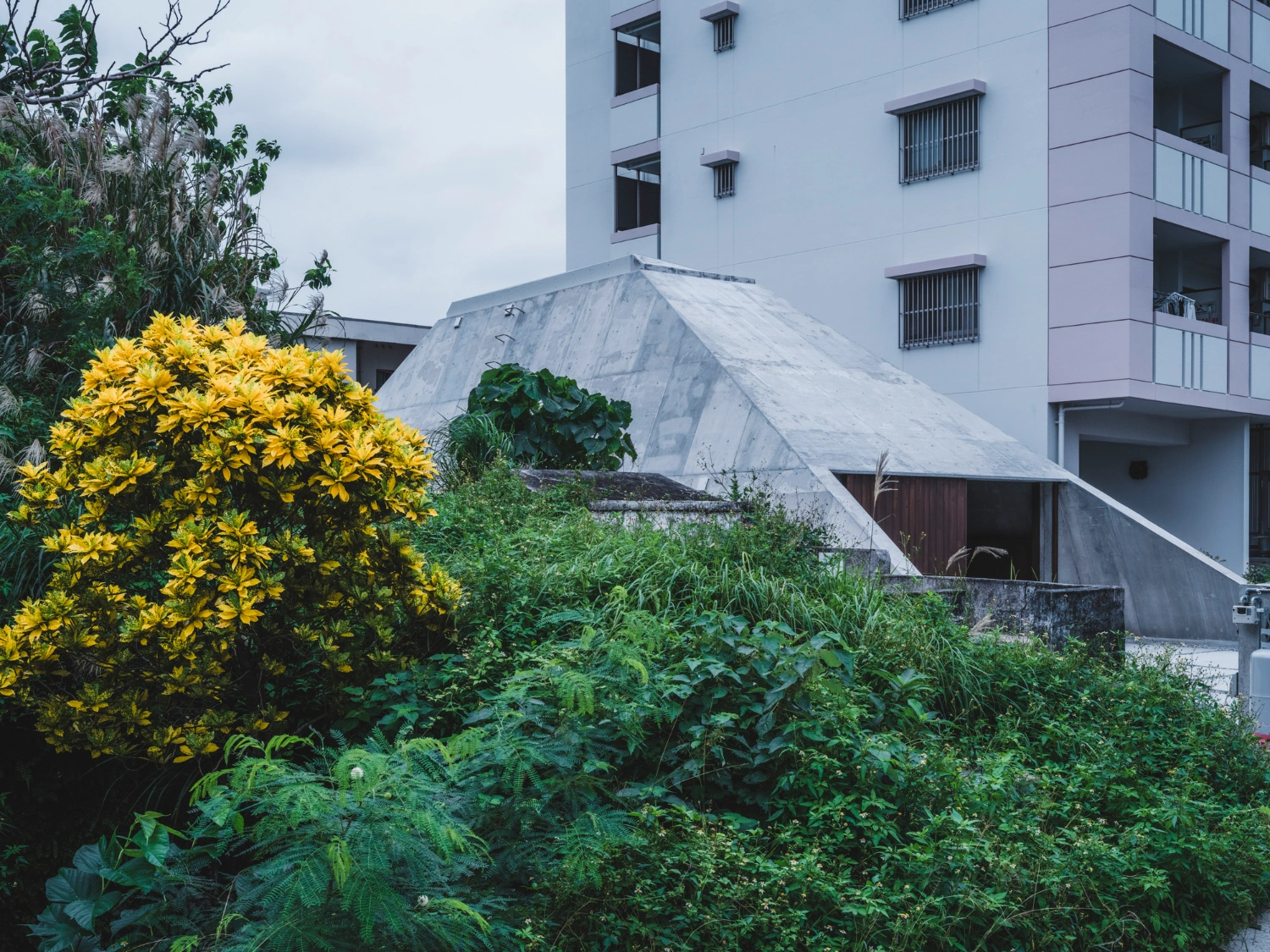 Pyramid Hut by IGArchitects — The pyramid residence emerges from dense vegetation in this view of the completed structure.