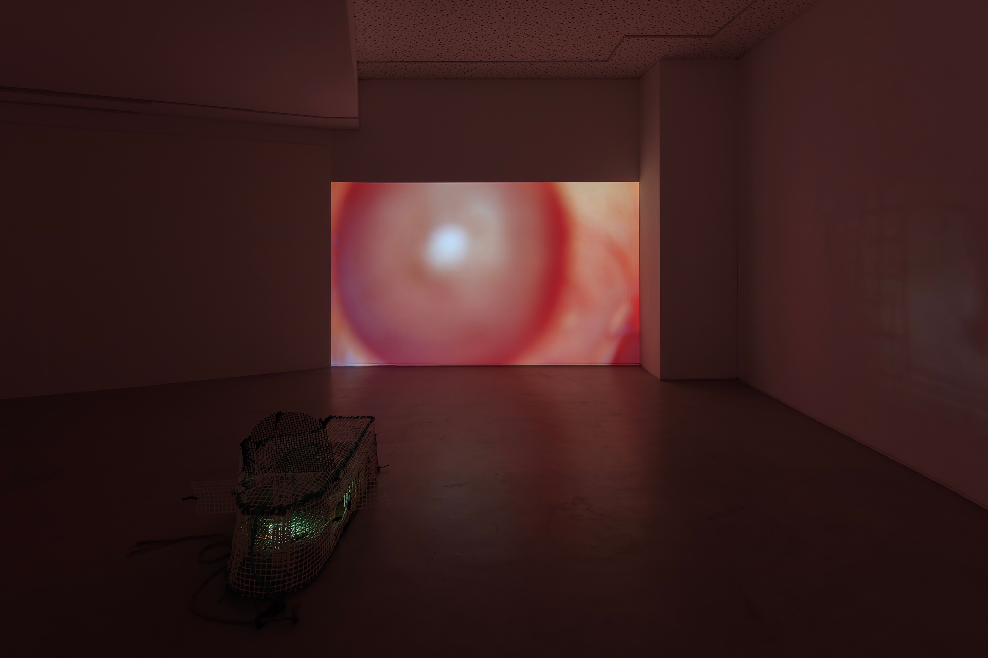 Não Faz Mal by Manon Harnois at Galeria Foco — A single-channel video projection dominates the gallery's rear wall, displaying a close-up of organic red and pink tones with a bright central highlight...