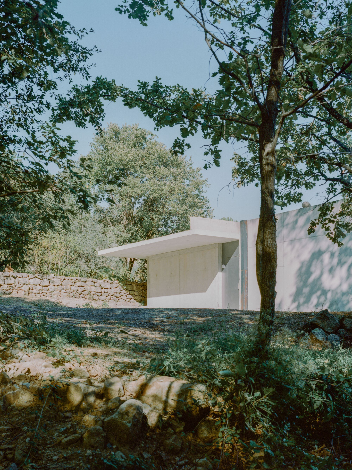 PAYZ House by Alors Studio — The PAYZ House emerges from dense Mediterranean vegetation, its white concrete volume framed by olive trees and dry stone walls.