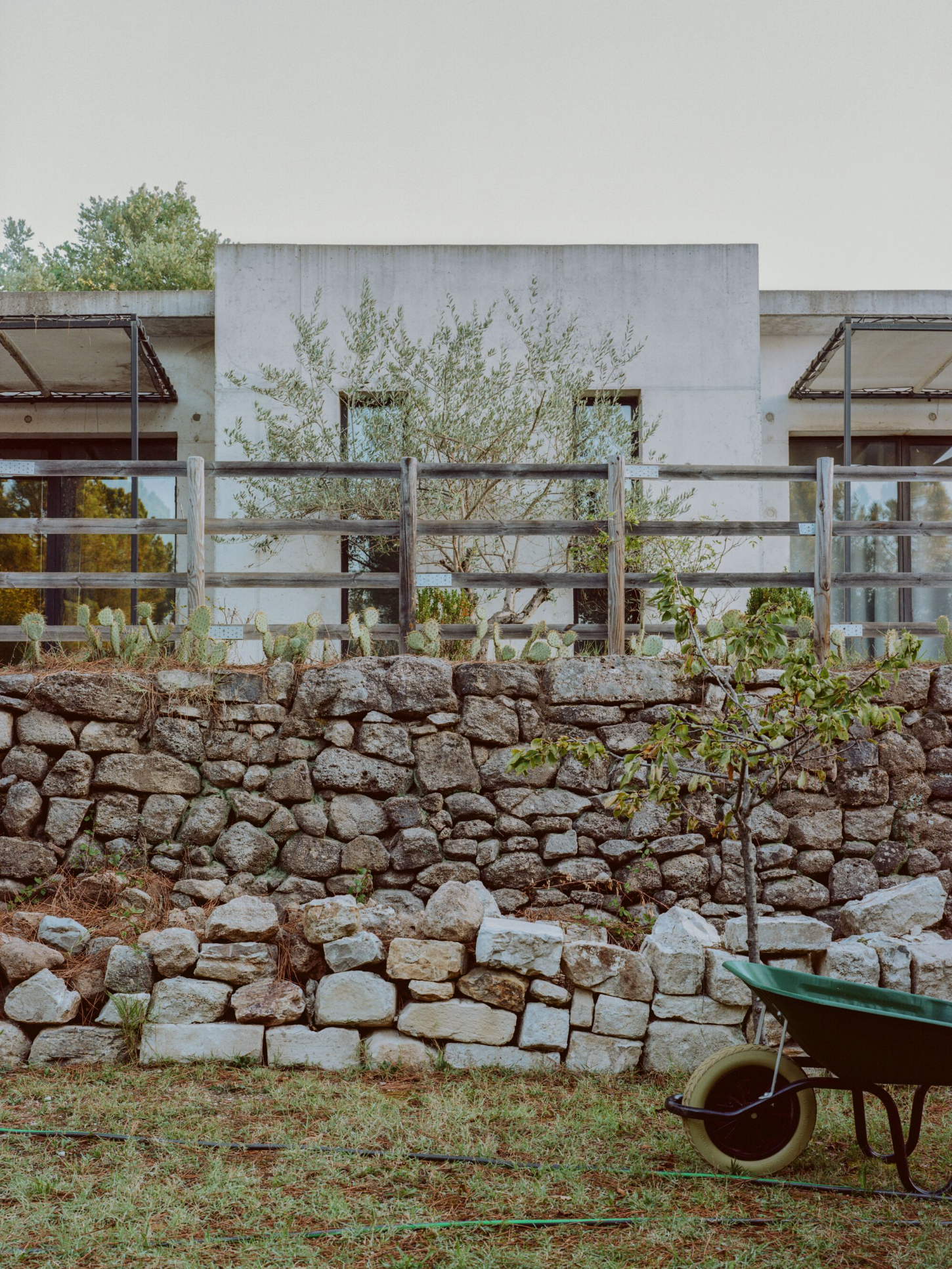 PAYZ House by Alors Studio — A low-angle view captures the PAYZ House's dialogue with its agrarian setting.