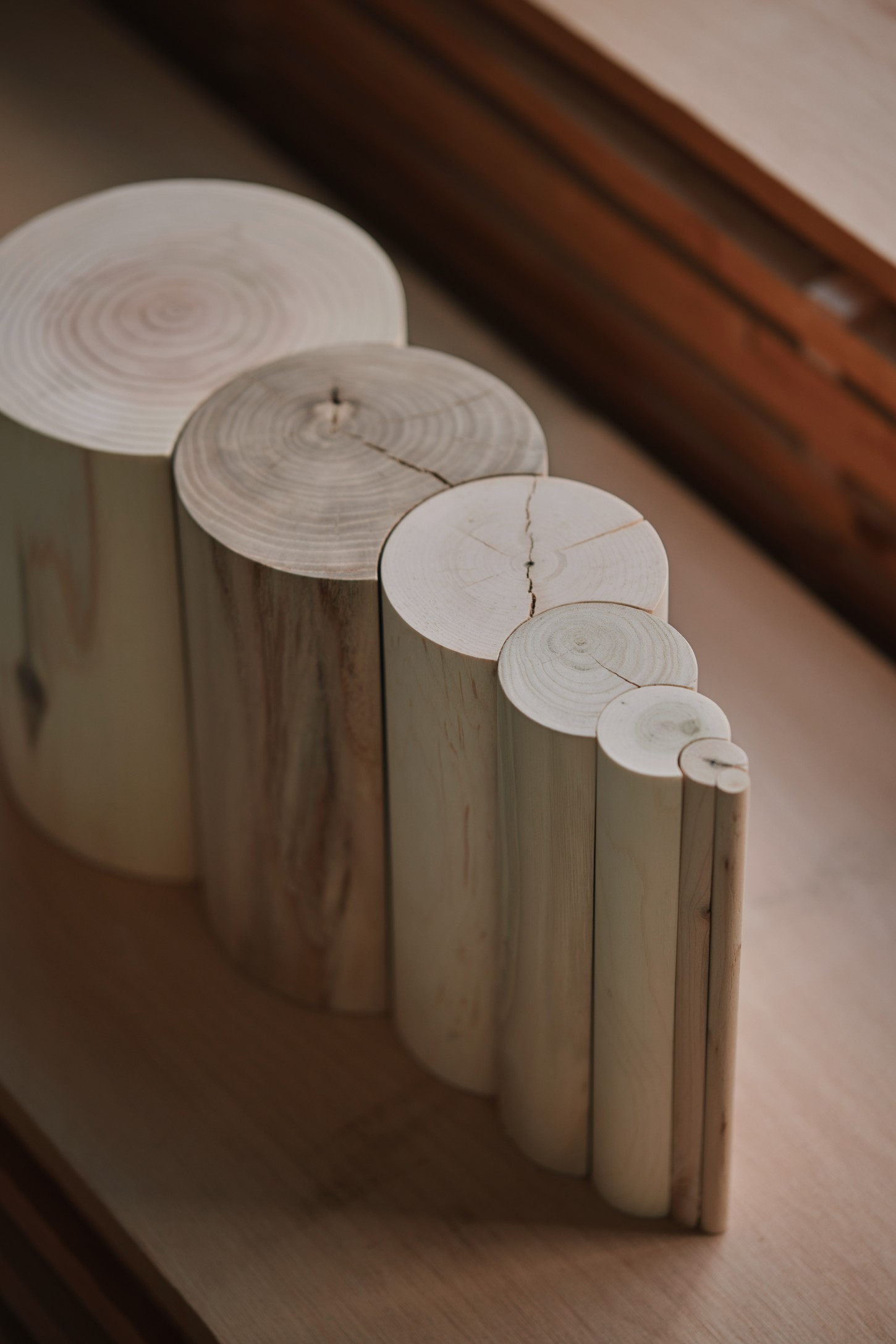 'The Age of Wood' by CHRISTIAN + JADE in Karimoku Research — Five cylindrical timber dowels arranged in descending height progression on a concrete floor, each topped with a freshly cut cross-section revealing...