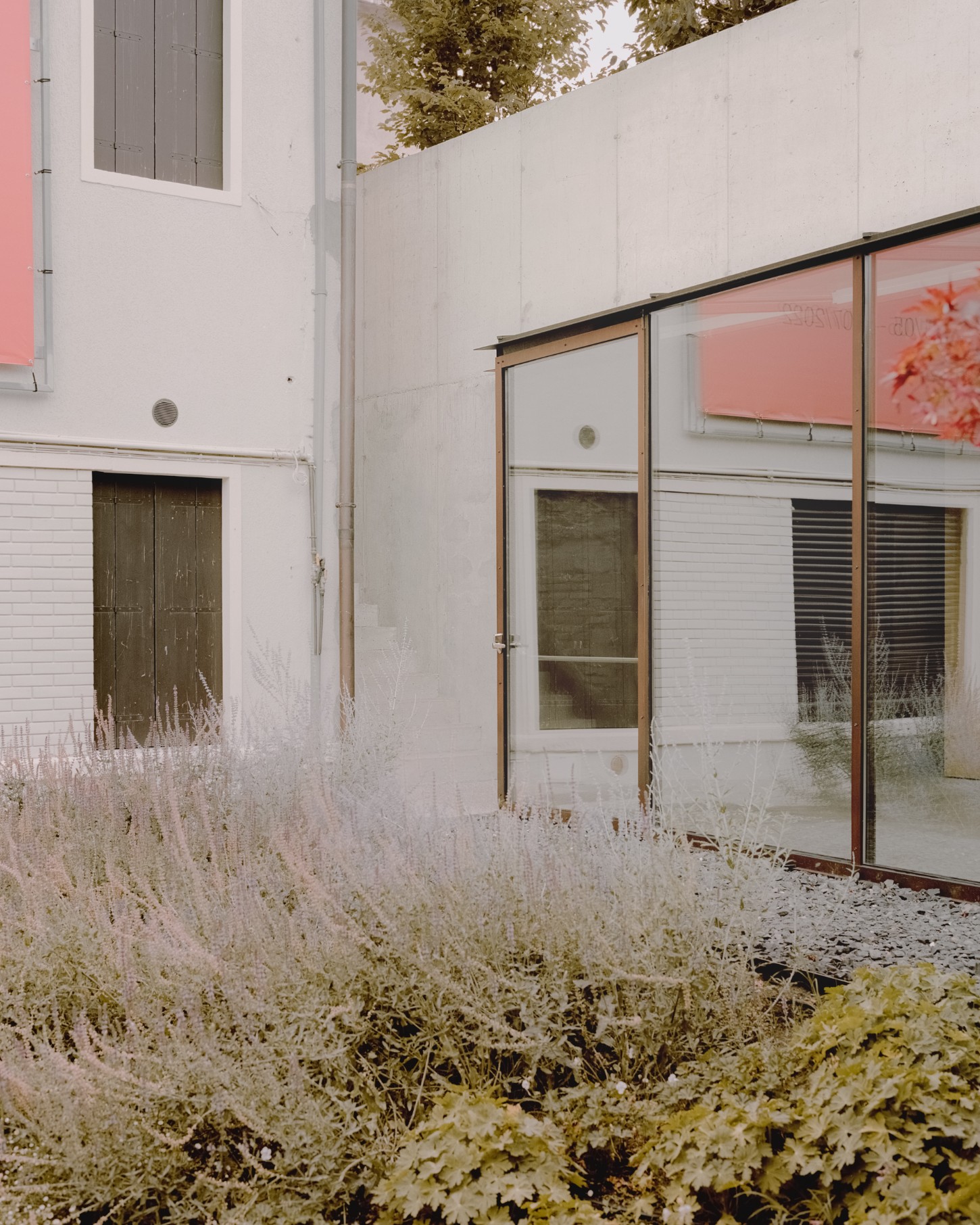 Atipografia Threshold and Treasure Gallery by AMAA — The threshold gallery's gravel forecourt is framed by overgrown ornamental grasses in muted taupe tones, creating a transitional landscape that softens the...